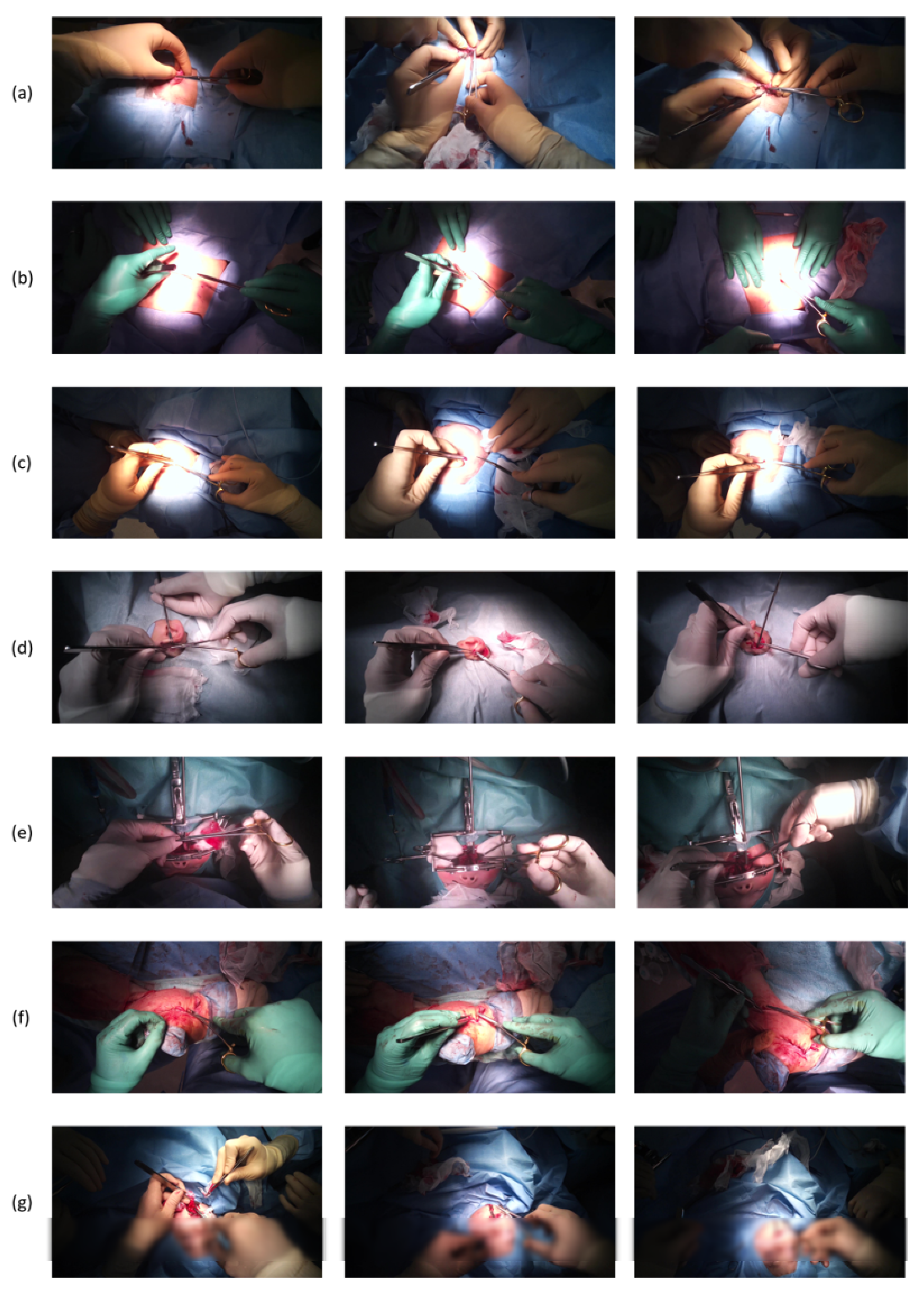 Jimaging 07 00015 g006 Jimaging 07 00015 g006