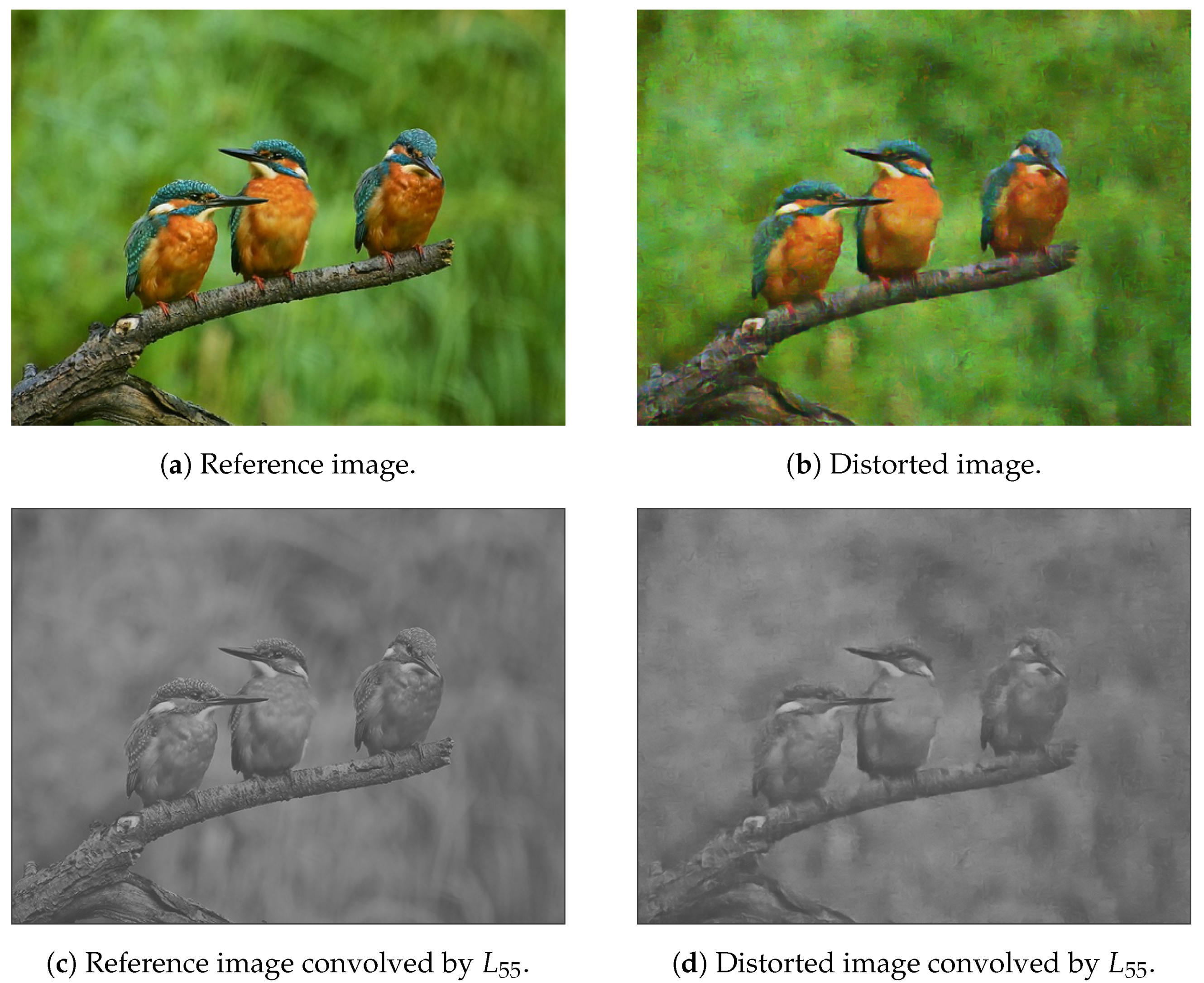 Jimaging 07 00029 g003a Jimaging 07 00029 g003a