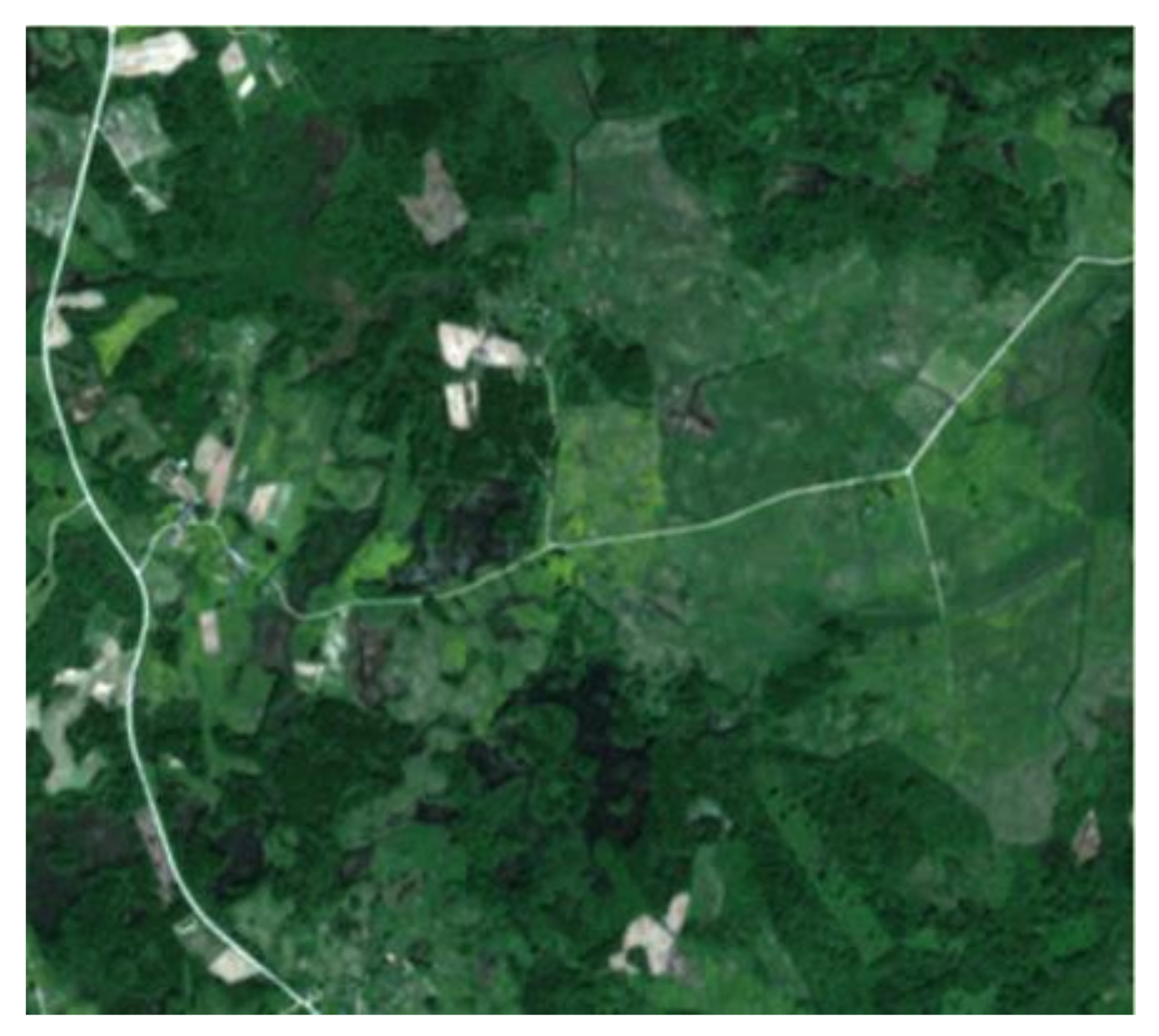 Jimaging 07 00045 g001