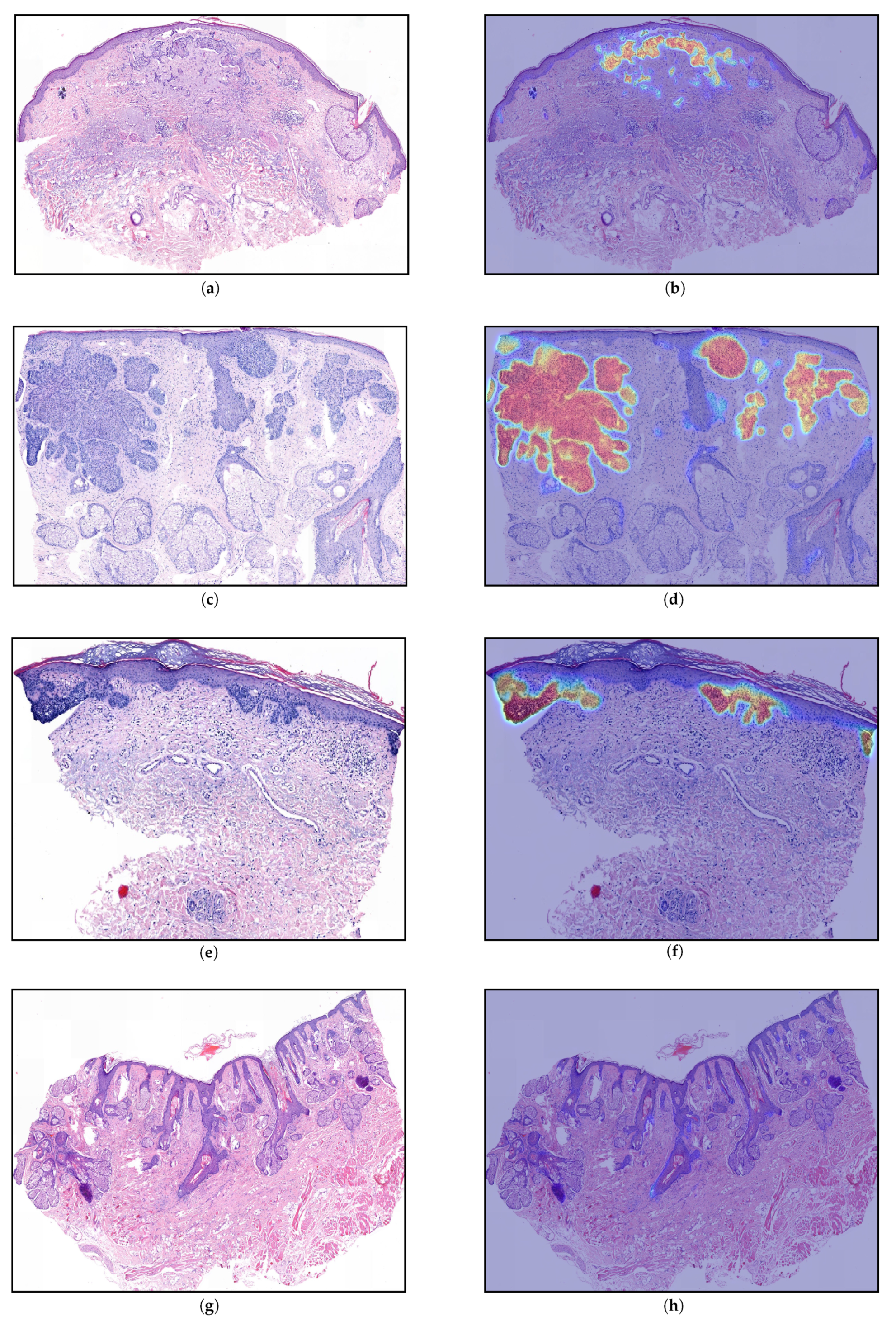 Jimaging 07 00071 g006