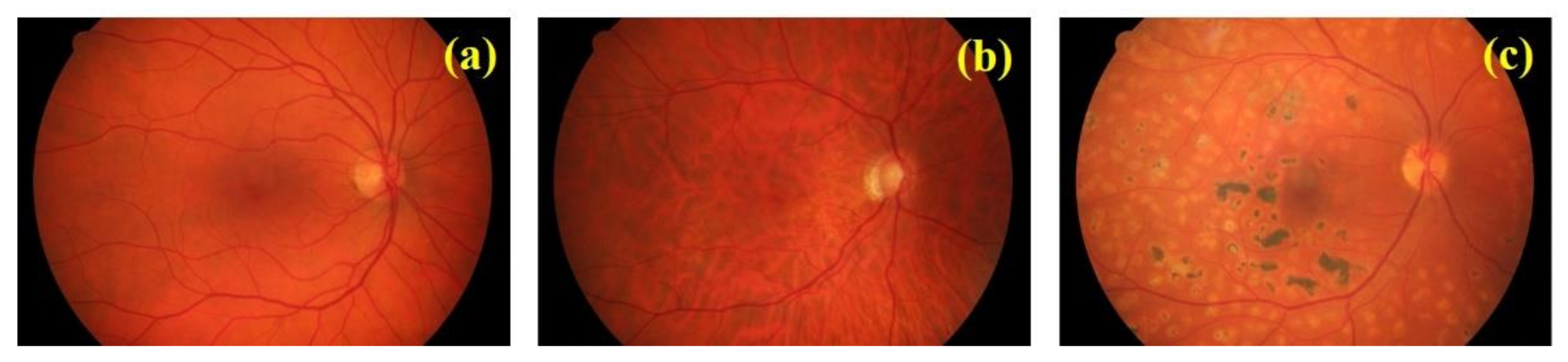 Jimaging 07 00073 g001 Jimaging 07 00073 g001