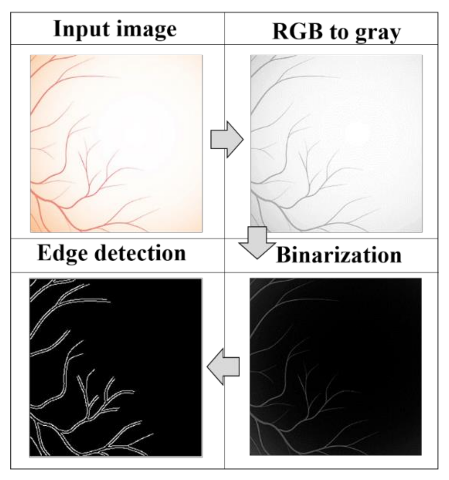 Jimaging 07 00073 g003 Jimaging 07 00073 g003