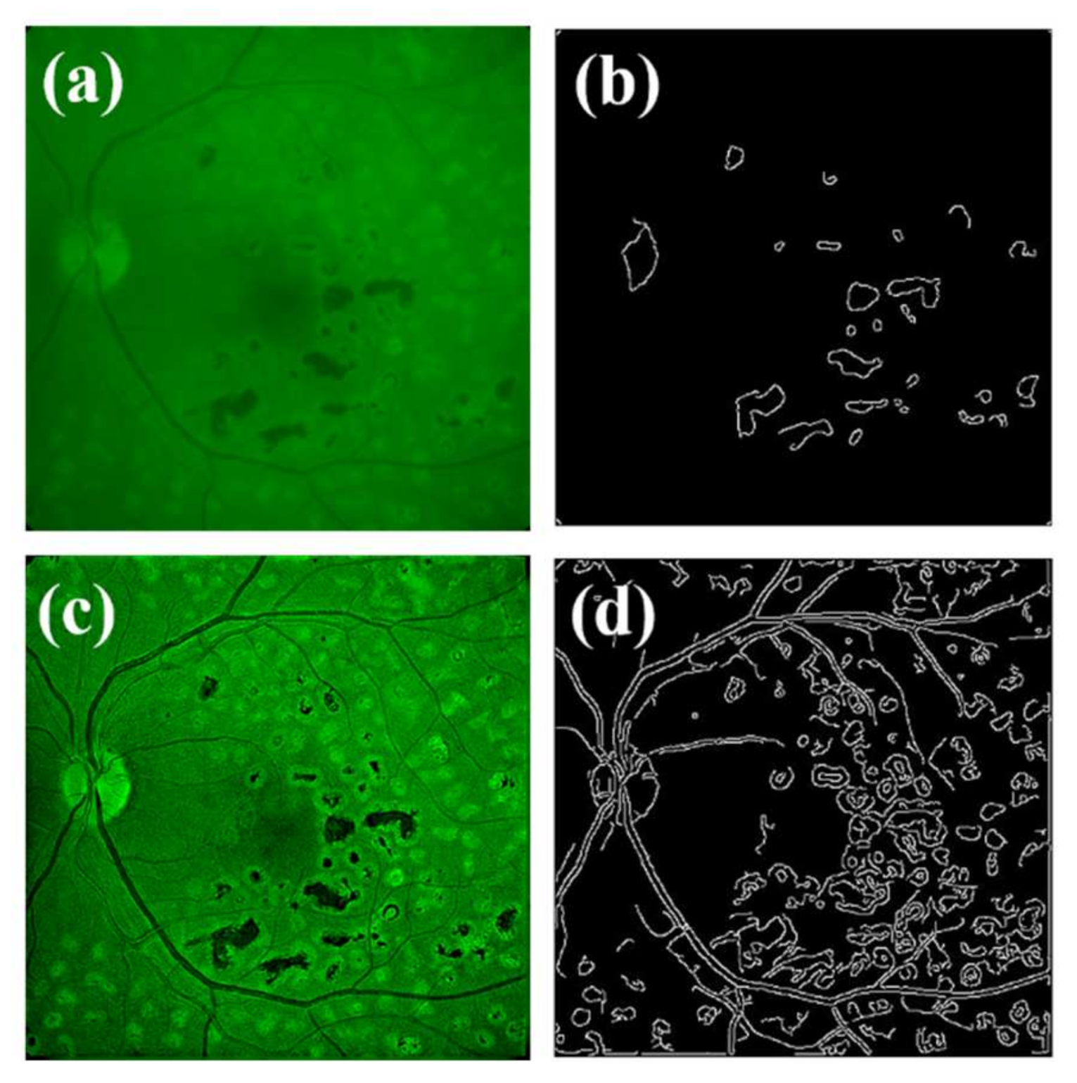 Jimaging 07 00073 g012 Jimaging 07 00073 g012