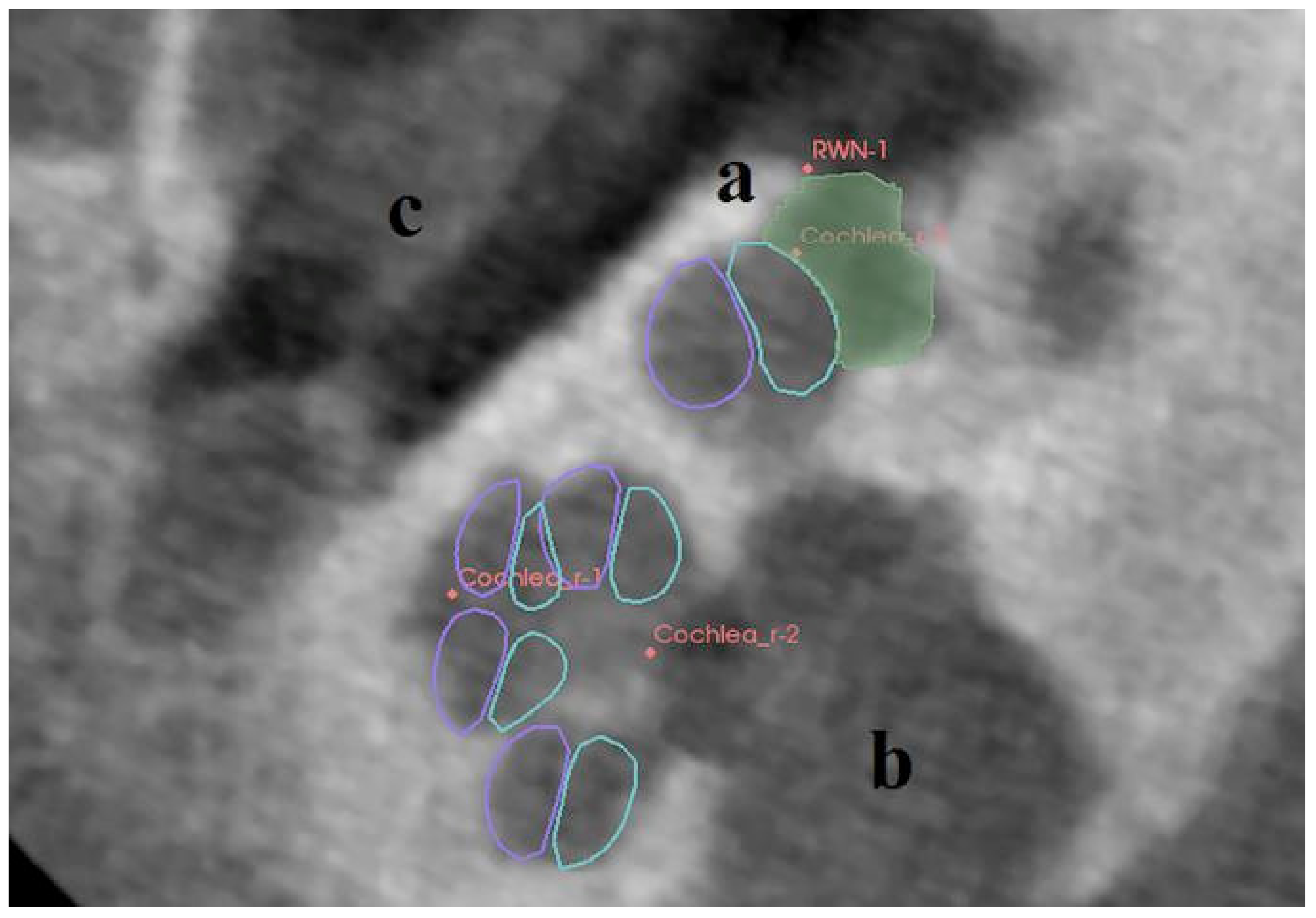 Jimaging 07 00079 g002