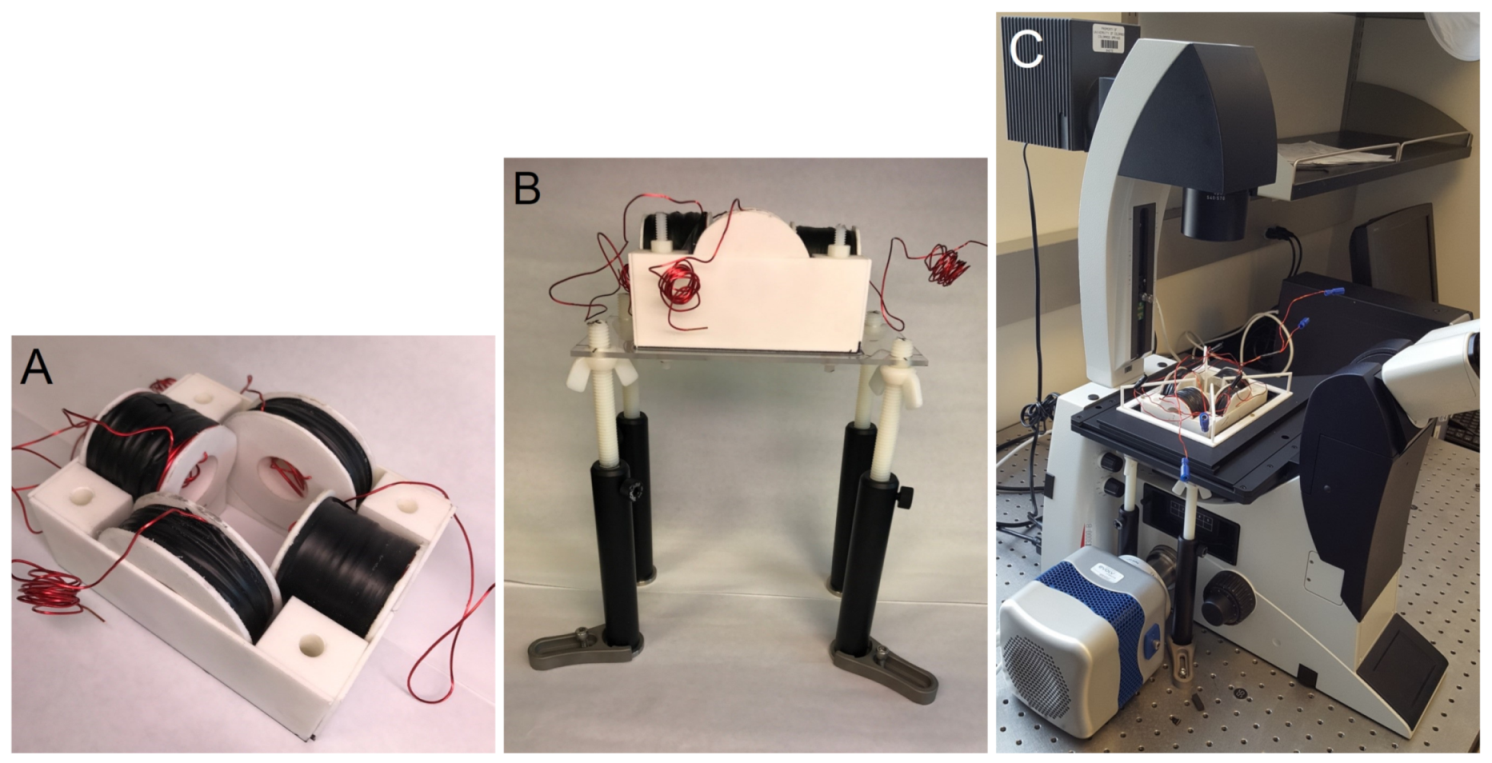 Jimaging 07 00082 g001 Jimaging 07 00082 g001