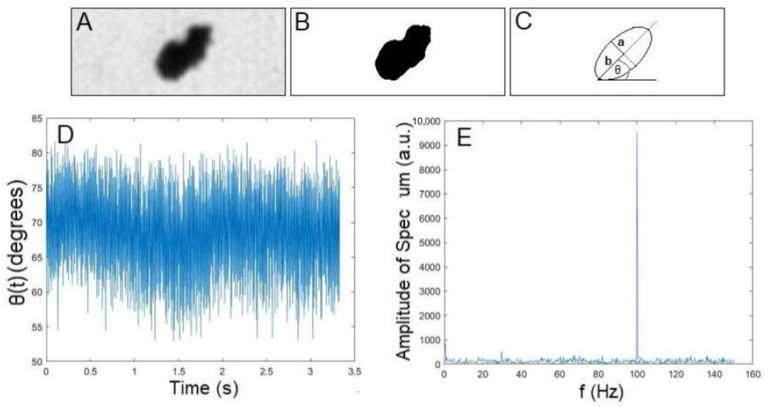 Jimaging 07 00082 g002 Jimaging 07 00082 g002