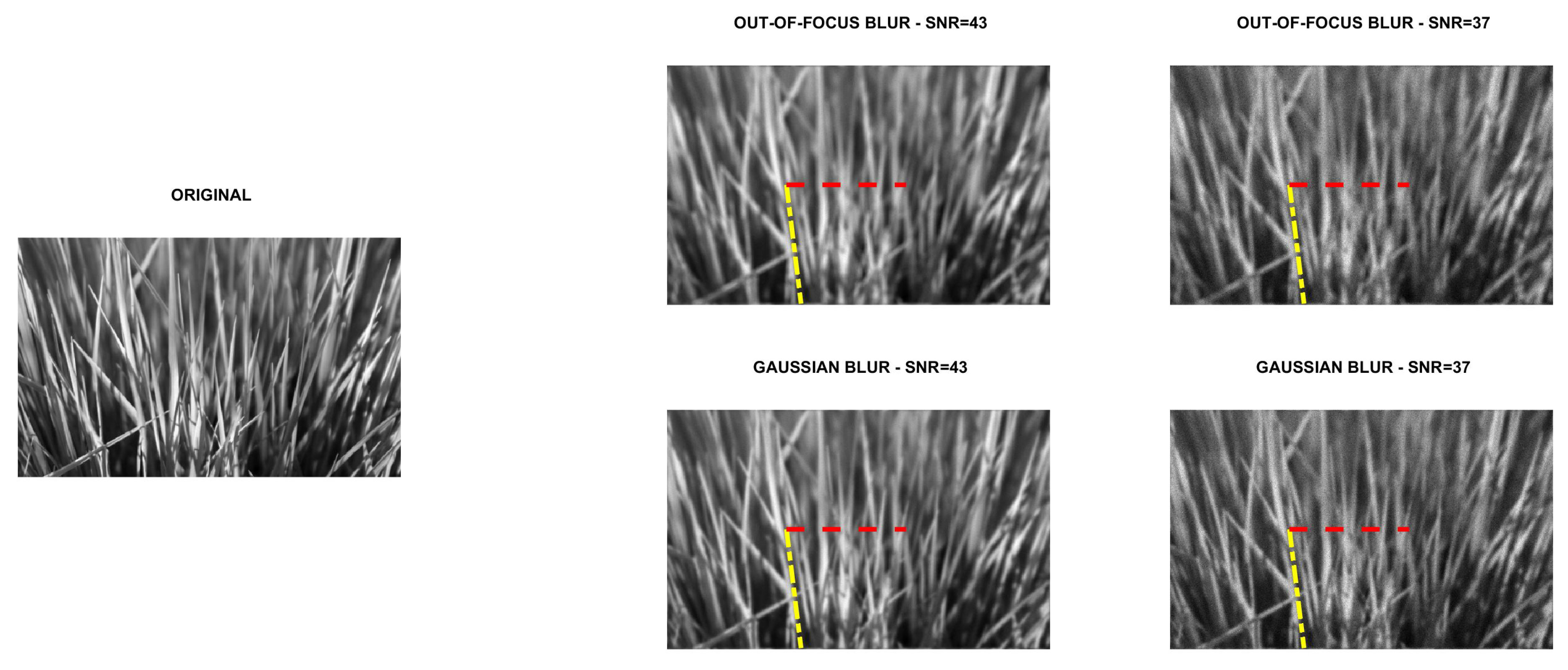 Jimaging 07 00099 g003