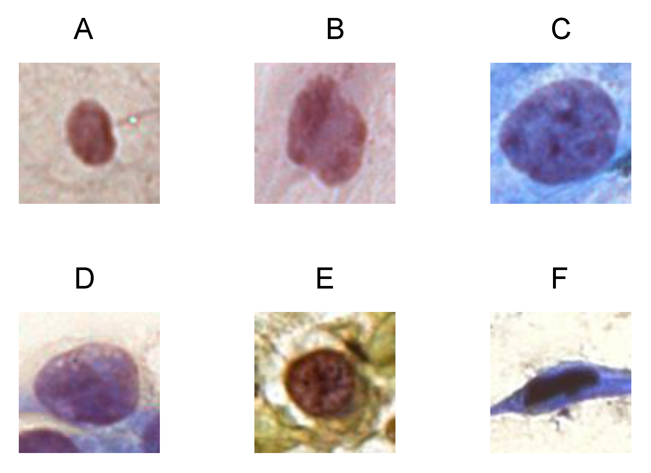 Jimaging 07 00111 g001 550