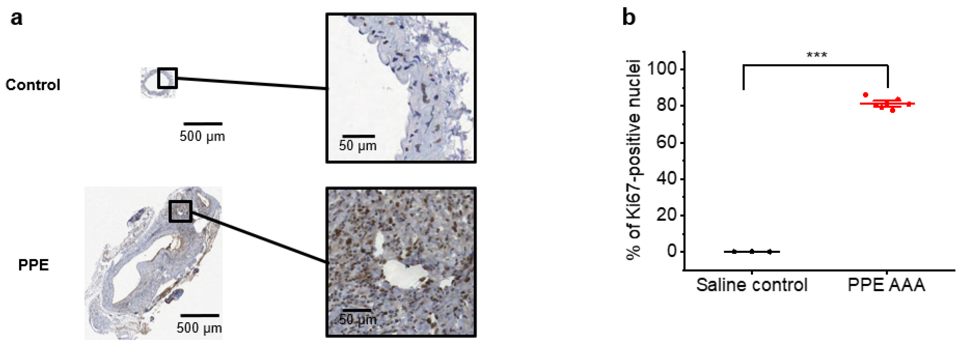 Jimaging 07 00130 g001 550