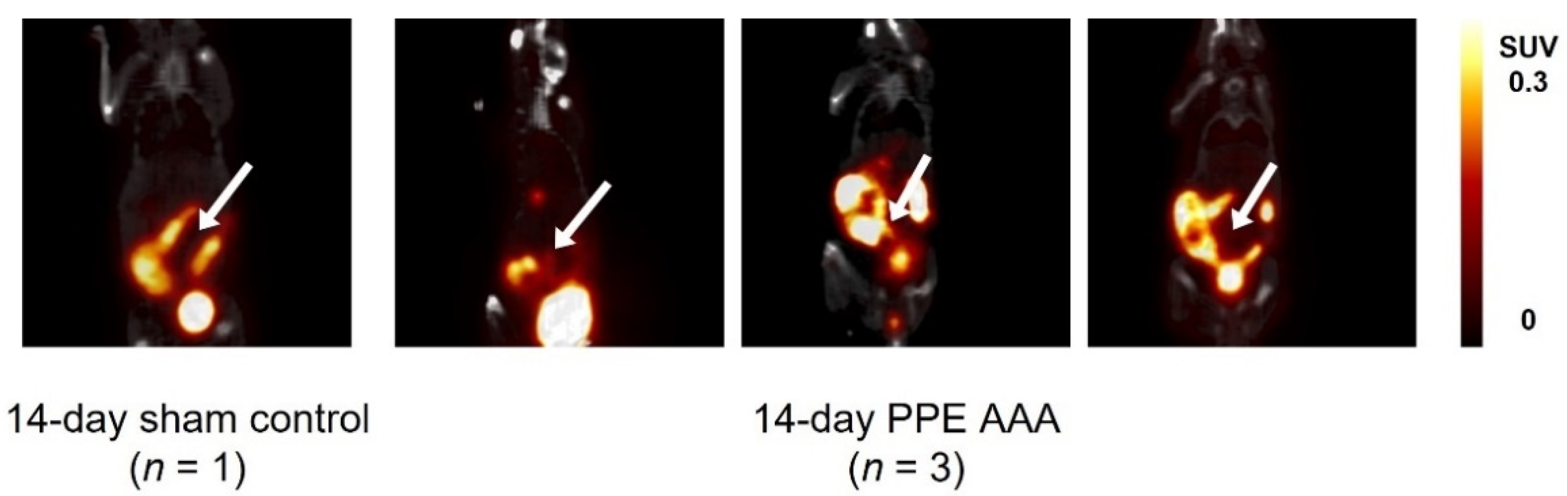 Jimaging 07 00130 g003 550