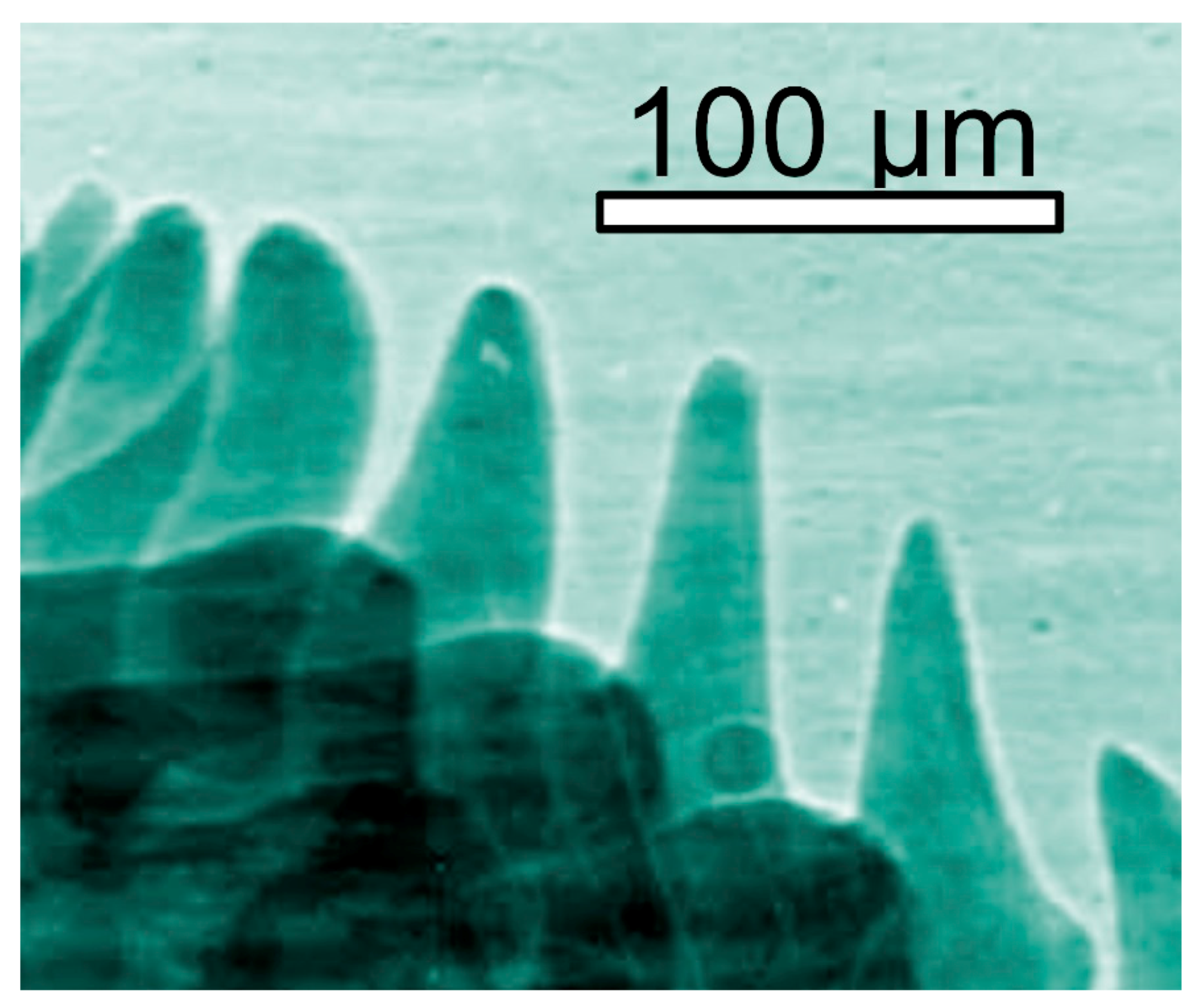 Jimaging 07 00132 g003