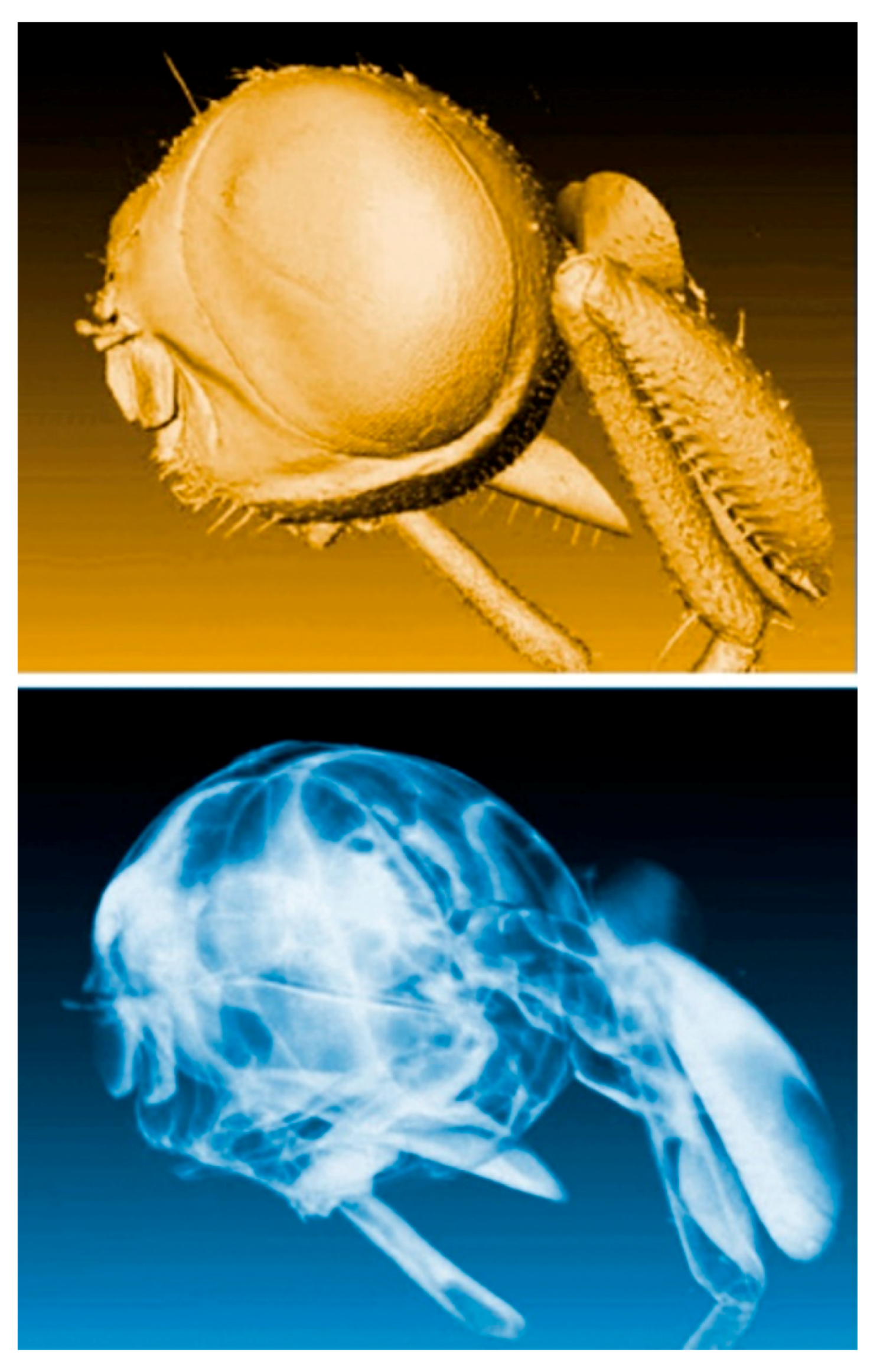 Jimaging 07 00132 g005