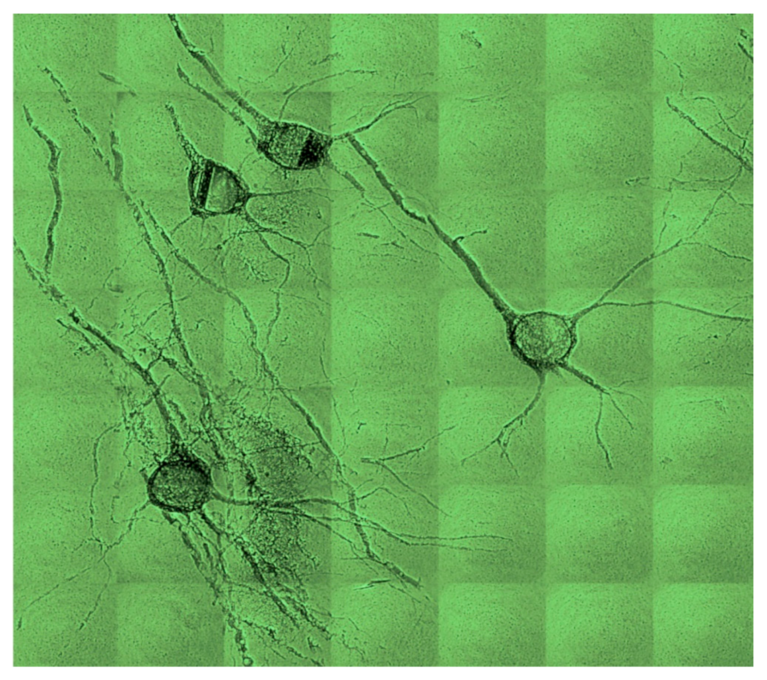 Jimaging 07 00132 g015