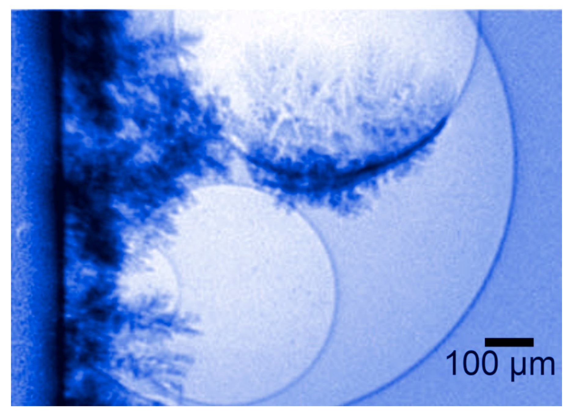 Jimaging 07 00132 g020