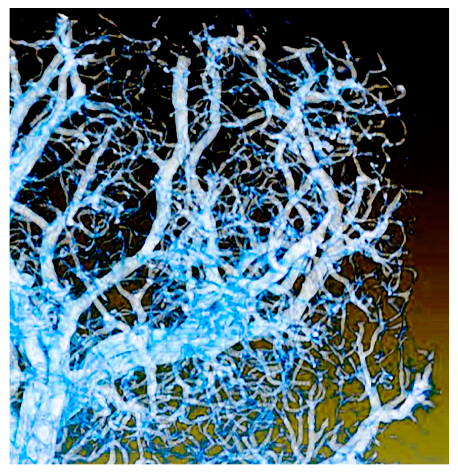 Jimaging 07 00132 g025