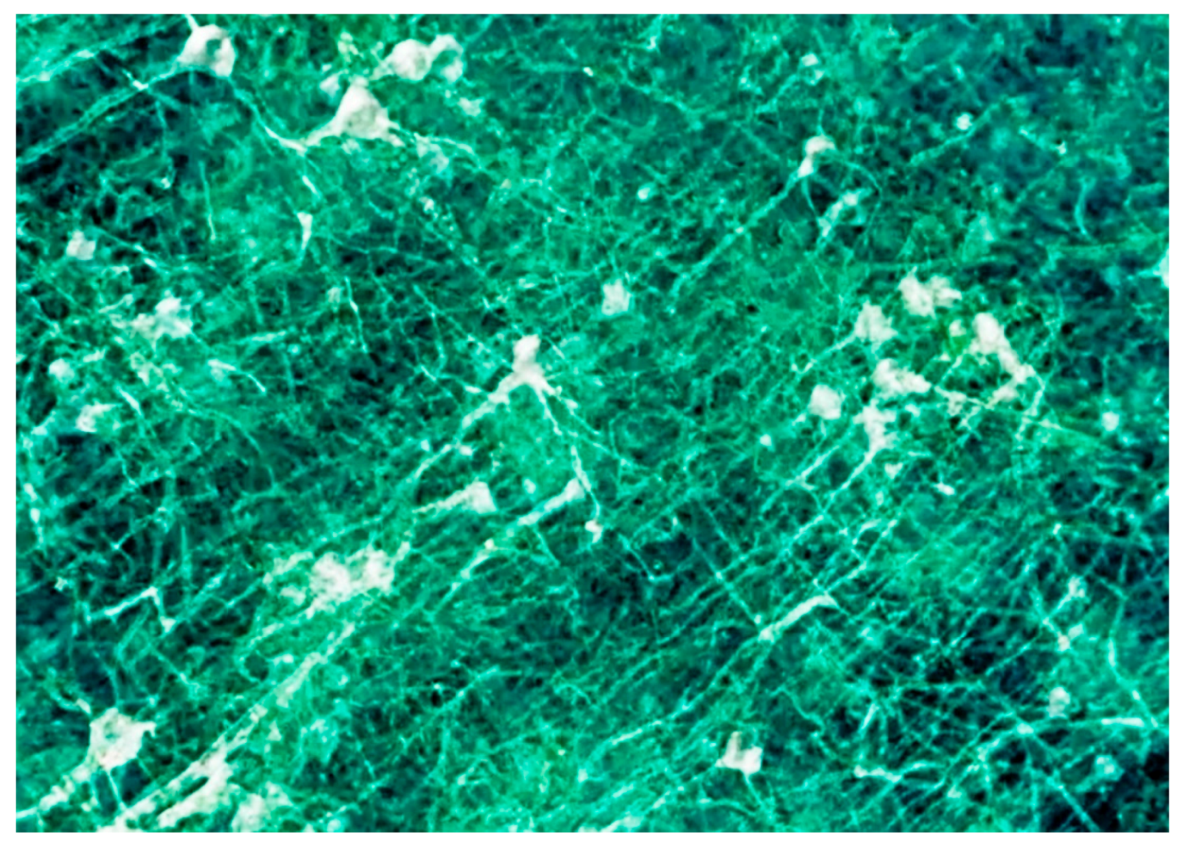 Jimaging 07 00132 g028