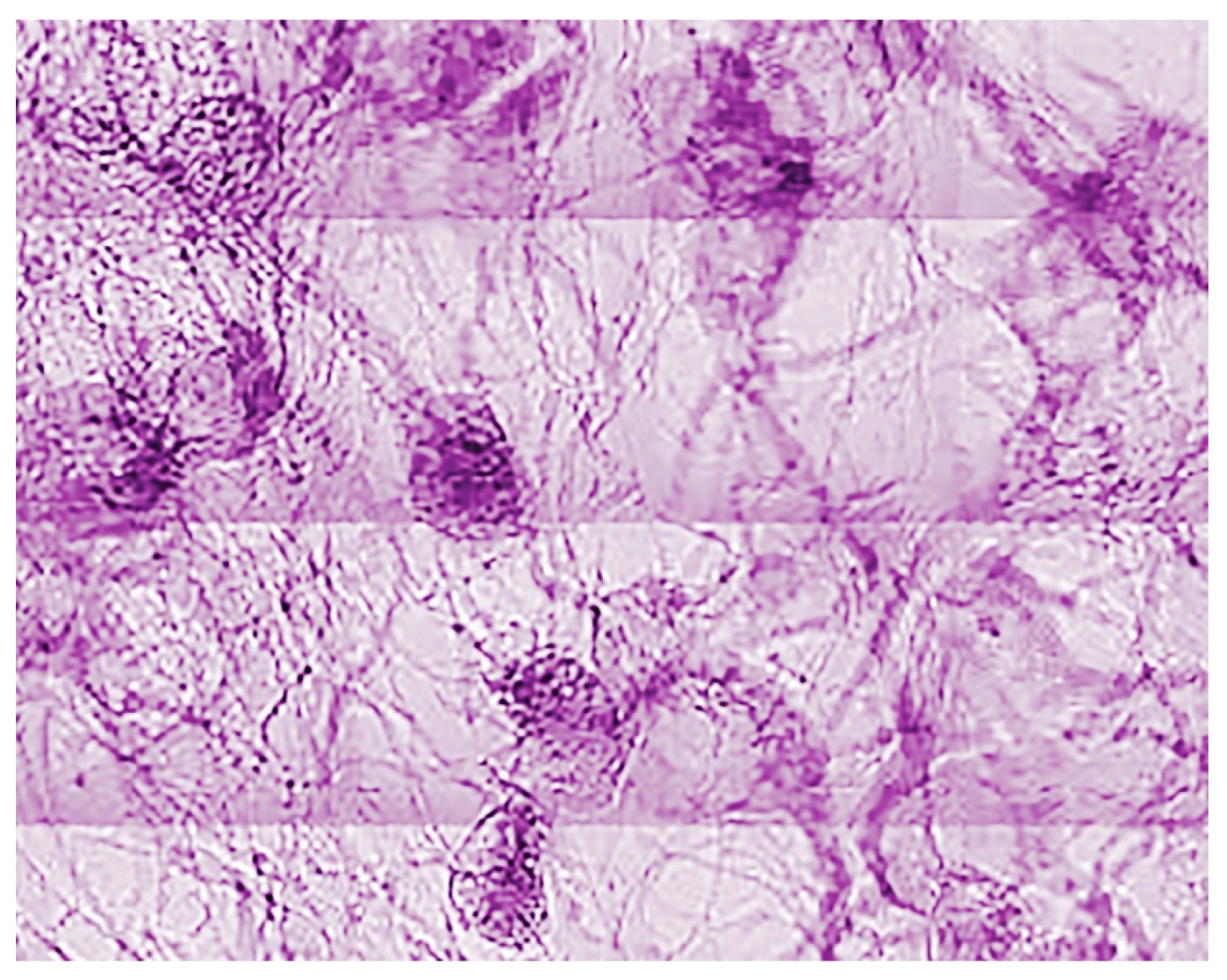 Jimaging 07 00132 g029