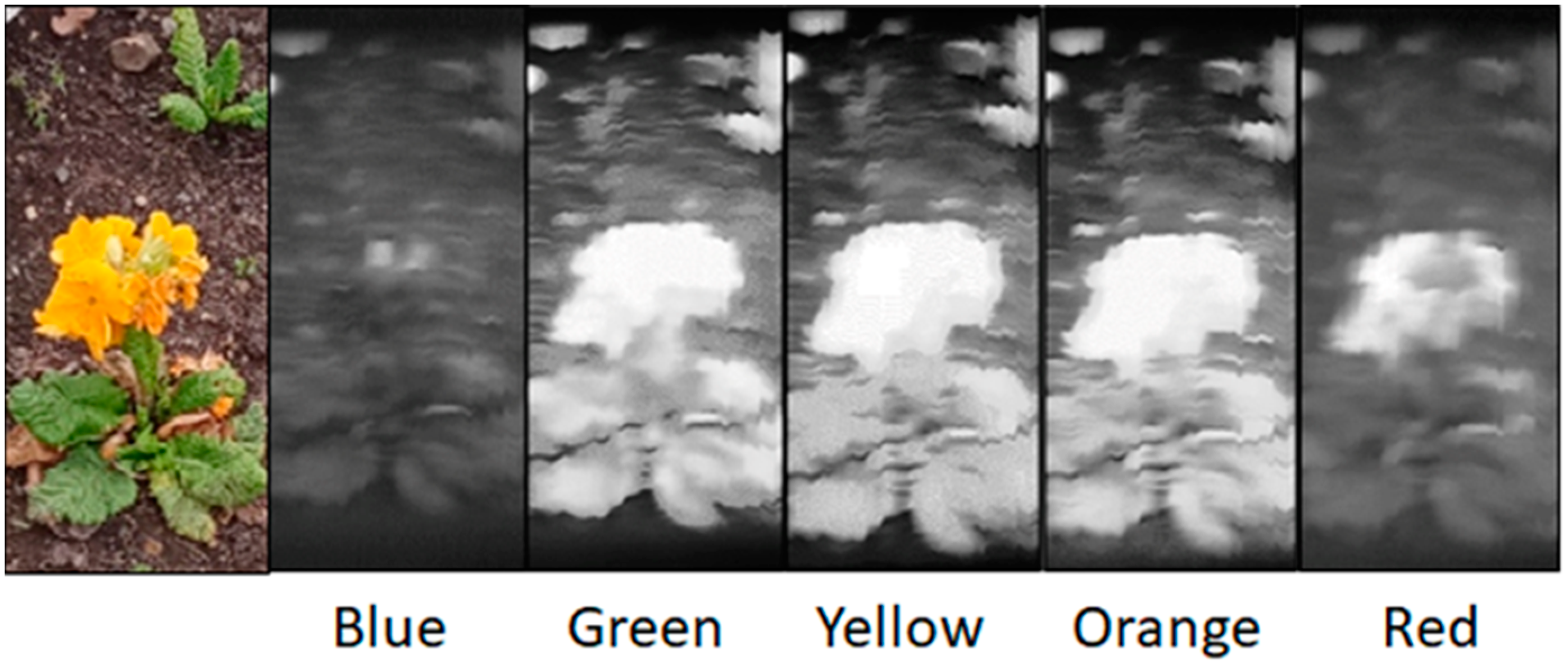 Jimaging 07 00136 g011 Jimaging 07 00136 g011