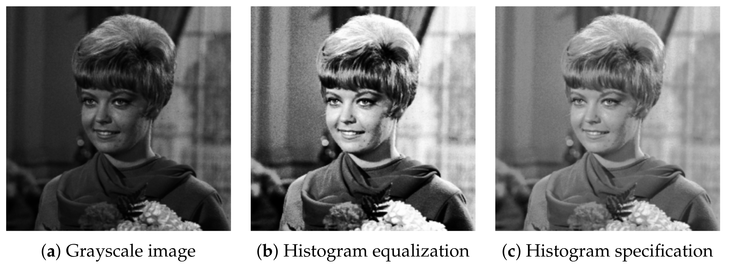 Jimaging 07 00150 g003 550