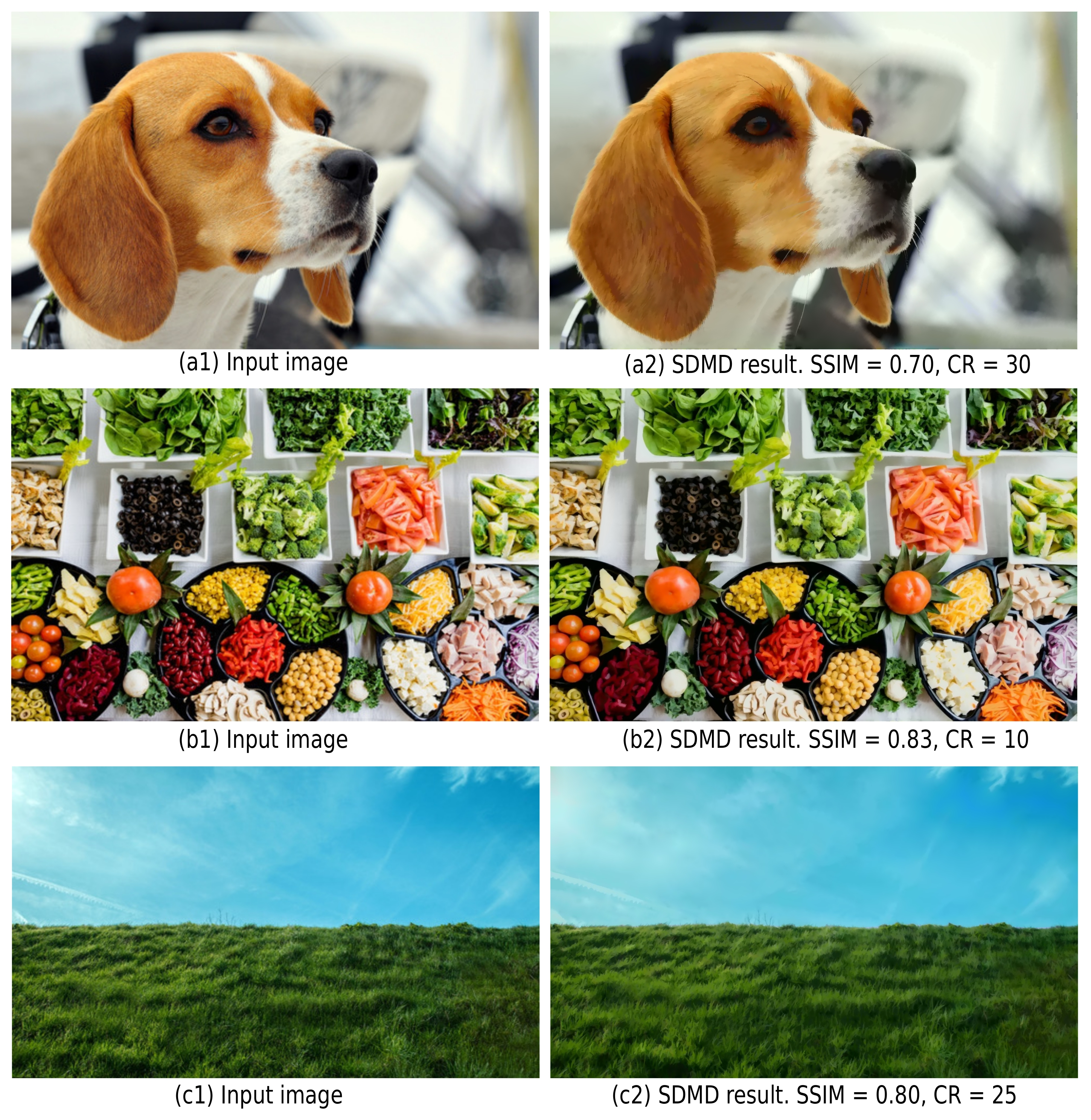 Jimaging 07 00153 g020 550