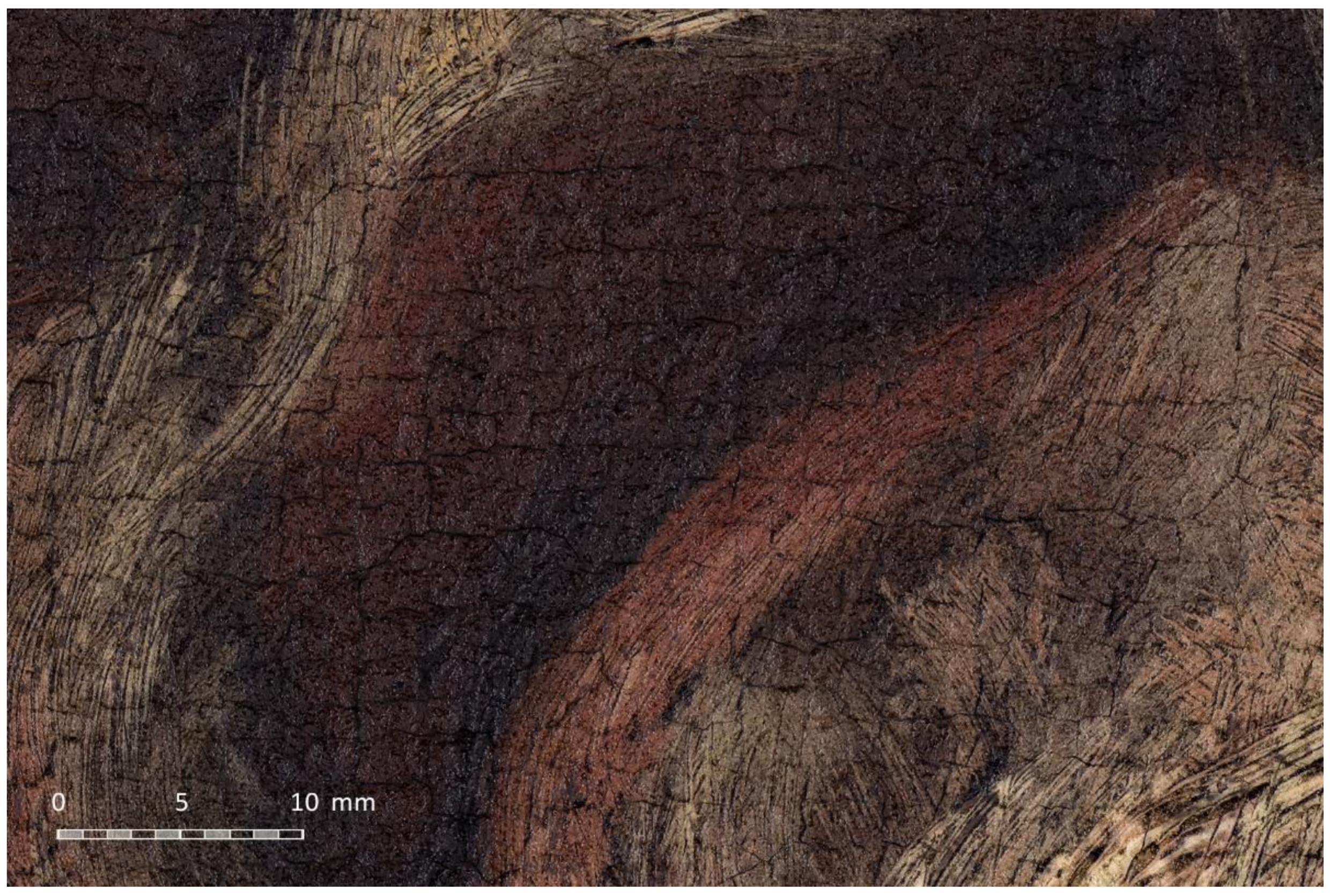 Jimaging 07 00156 g019 550