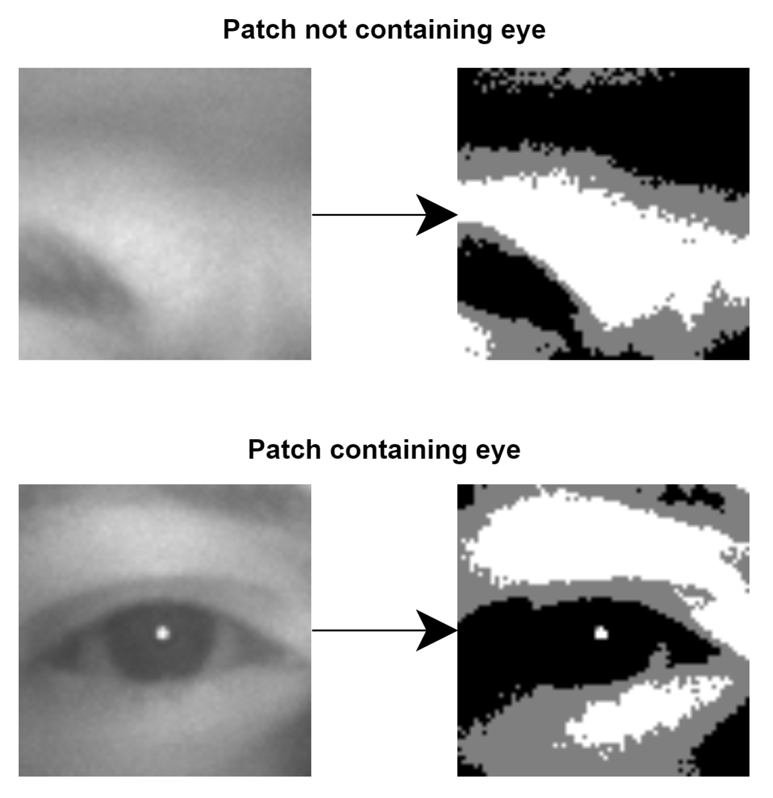 Jimaging 07 00162 g004 550