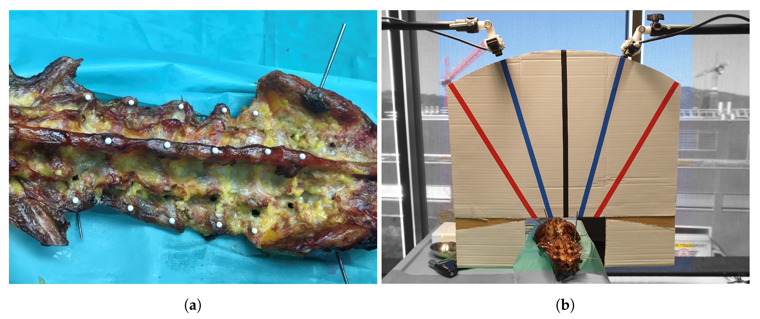 Jimaging 07 00164 g004