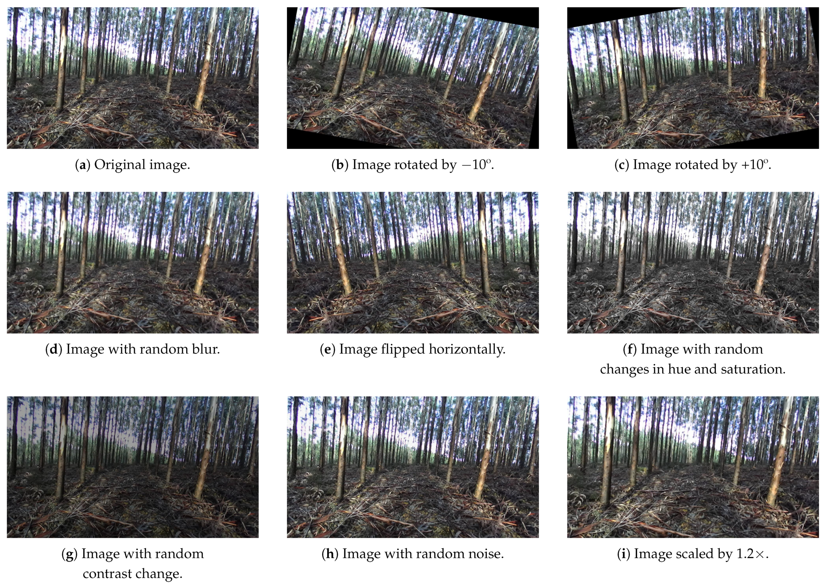 Jimaging 07 00176 g003