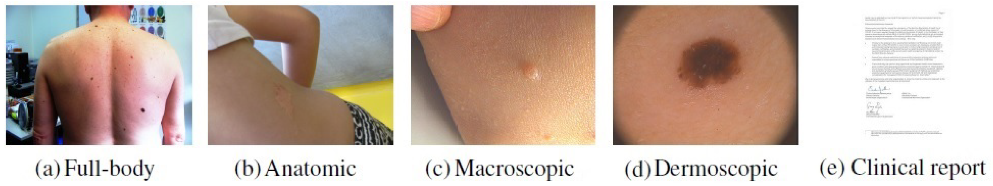 Jimaging 07 00180 g001 550