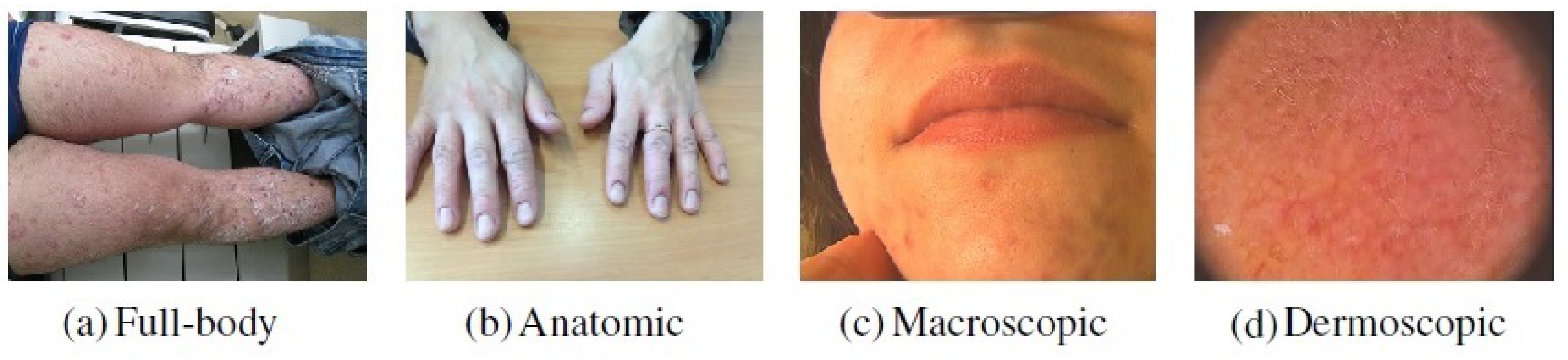 Jimaging 07 00180 g002 550