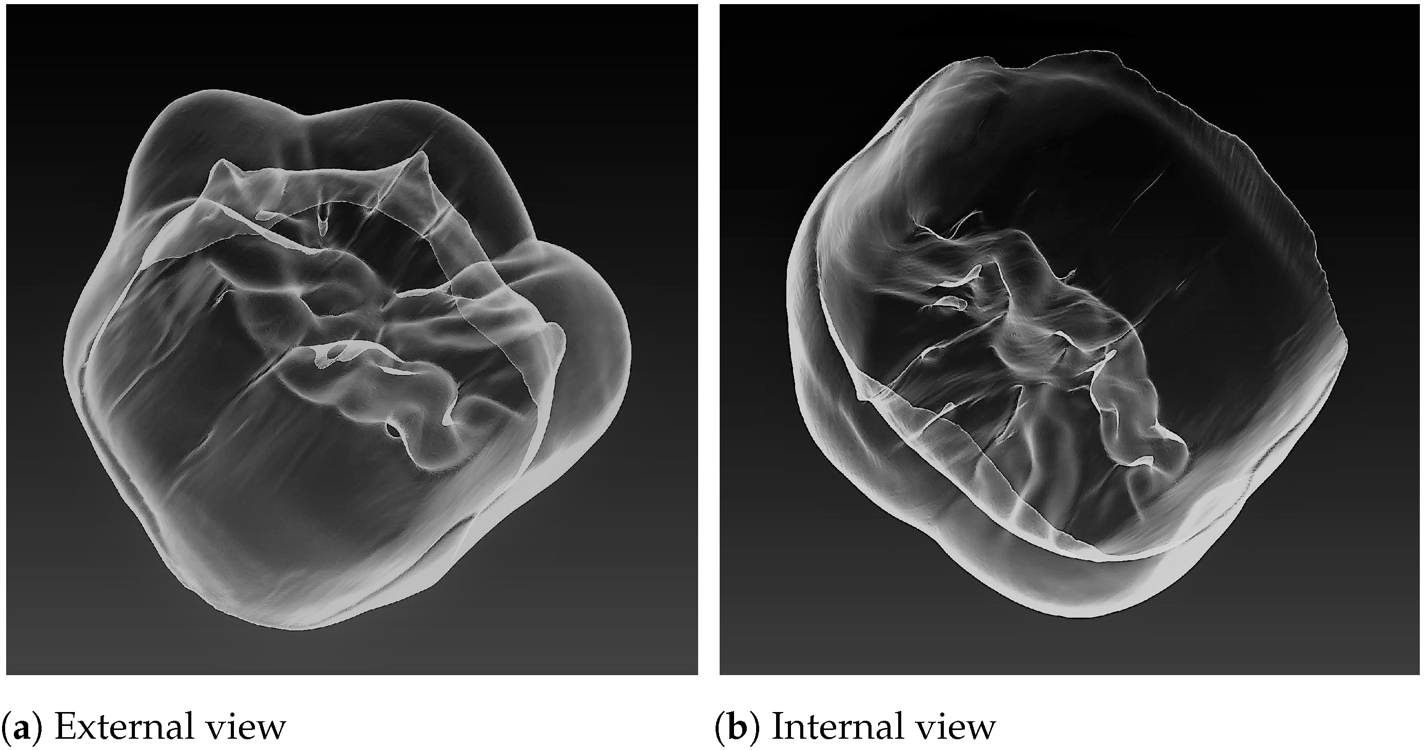 Jimaging 07 00184 g002