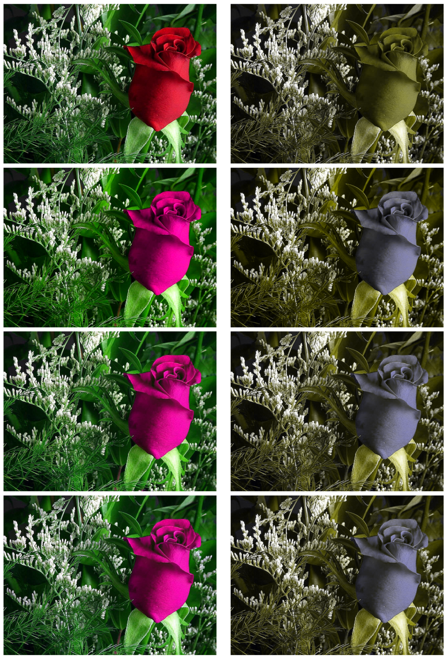 Jimaging 07 00196 g005 550