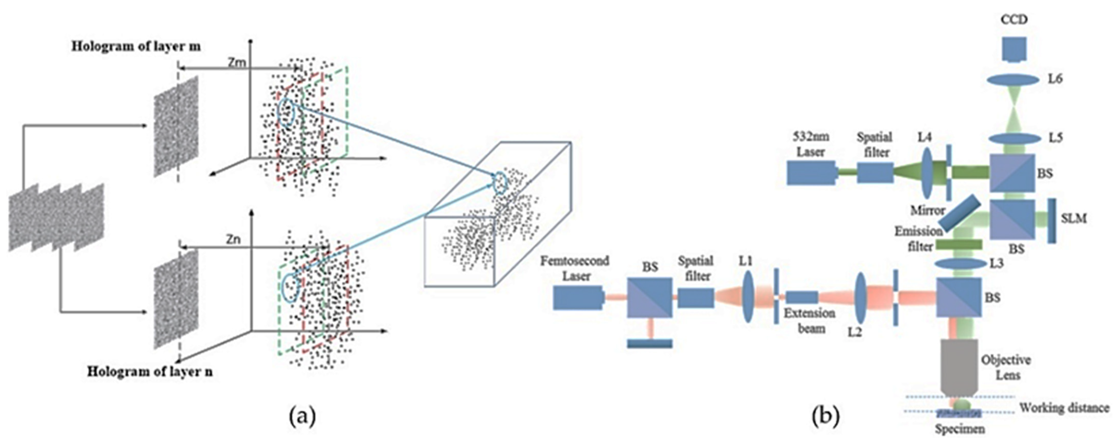 Jimaging 07 00197 g020 Jimaging 07 00197 g020