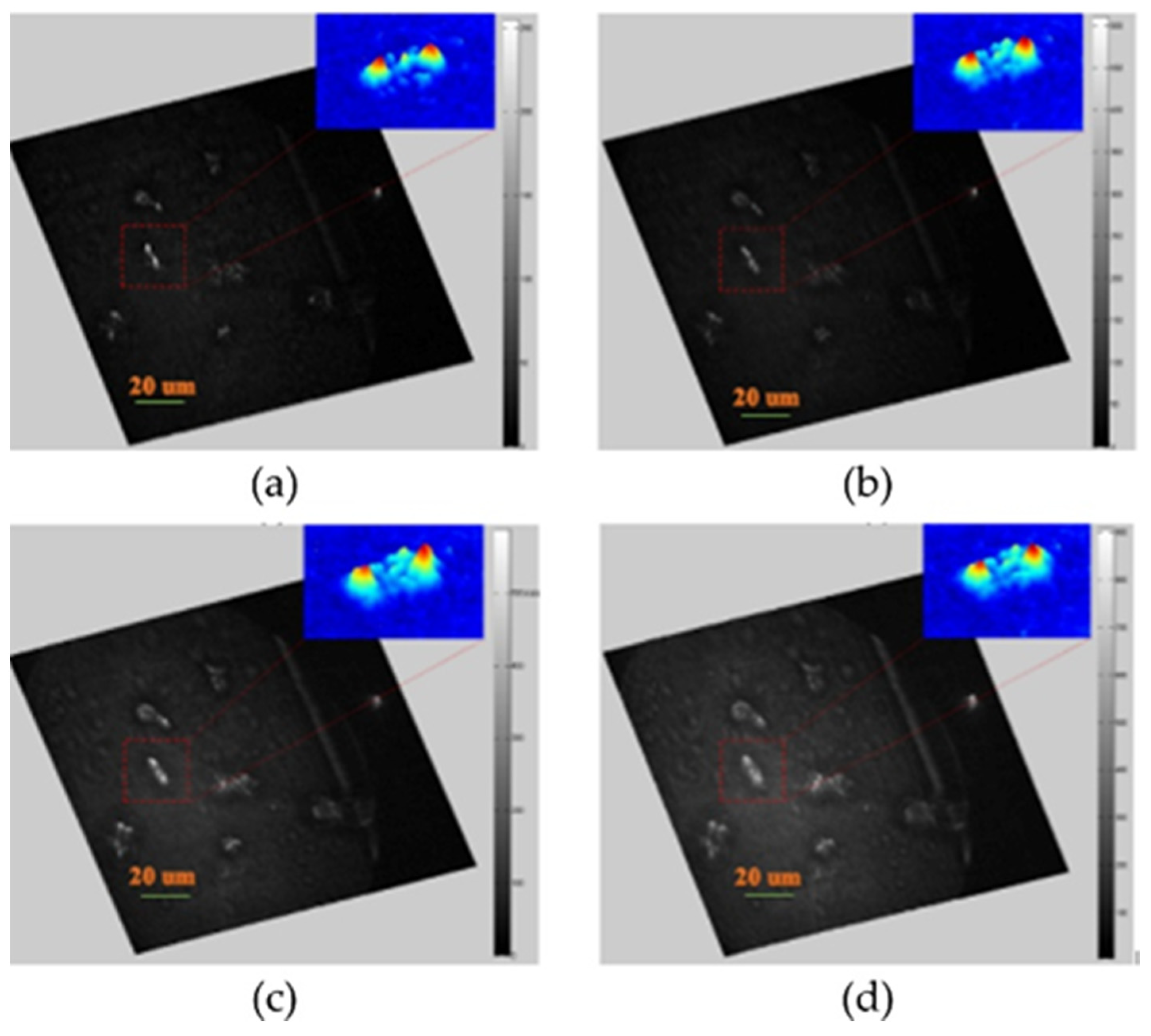 Jimaging 07 00197 g021 Jimaging 07 00197 g021