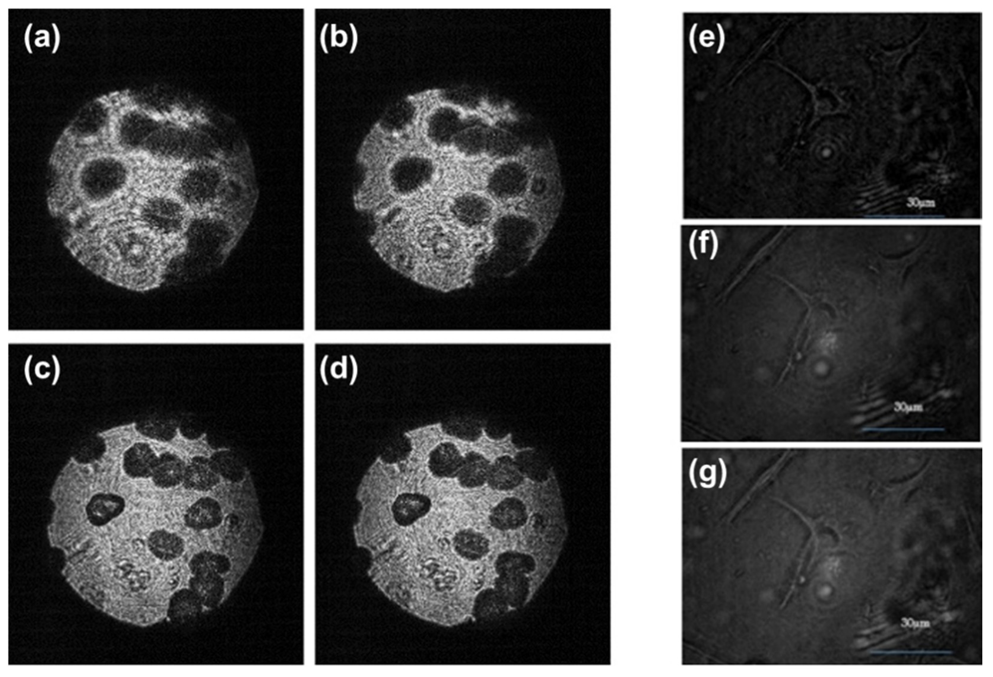 Jimaging 07 00197 g022 Jimaging 07 00197 g022