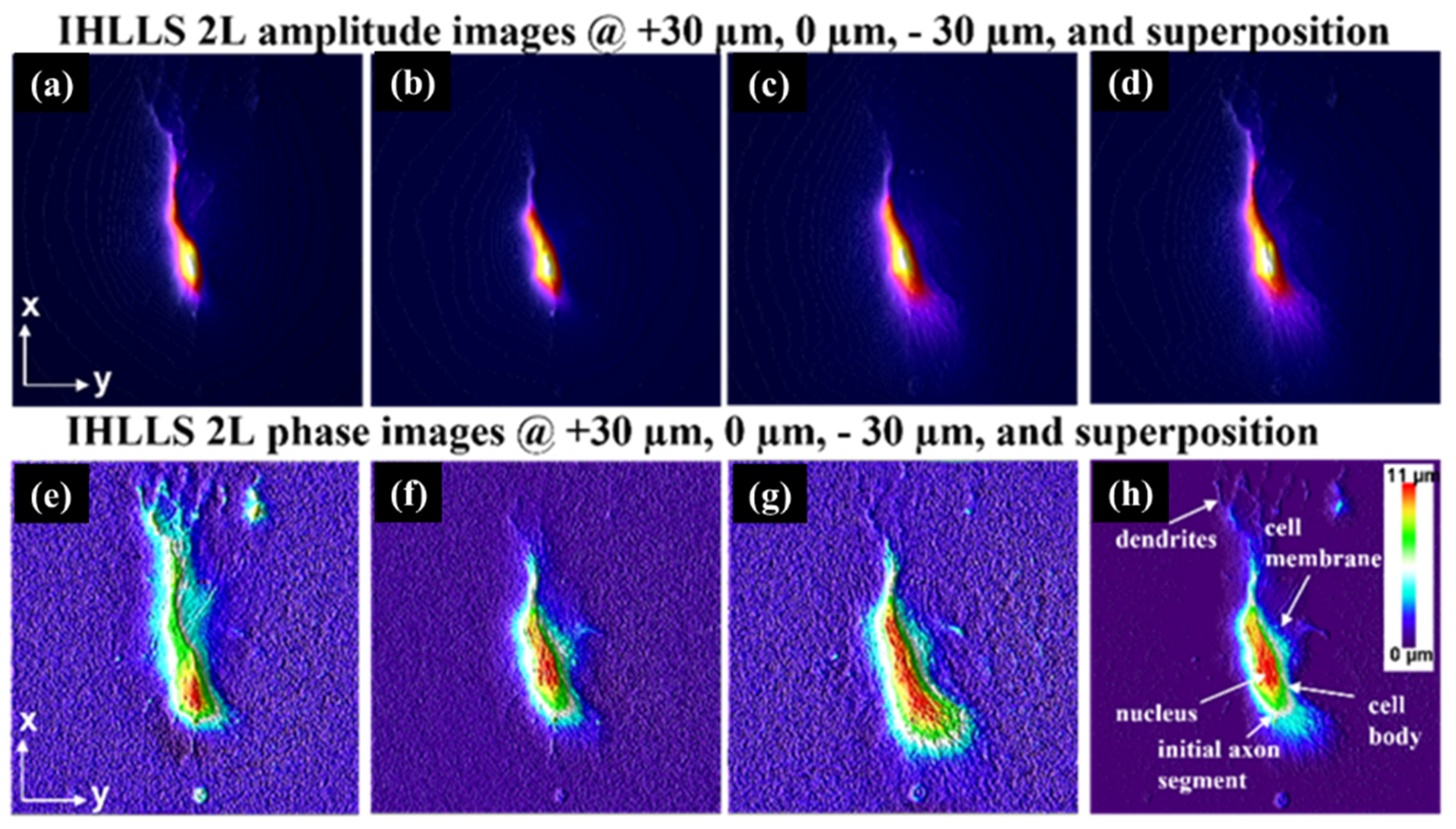 Jimaging 07 00197 g025 Jimaging 07 00197 g025