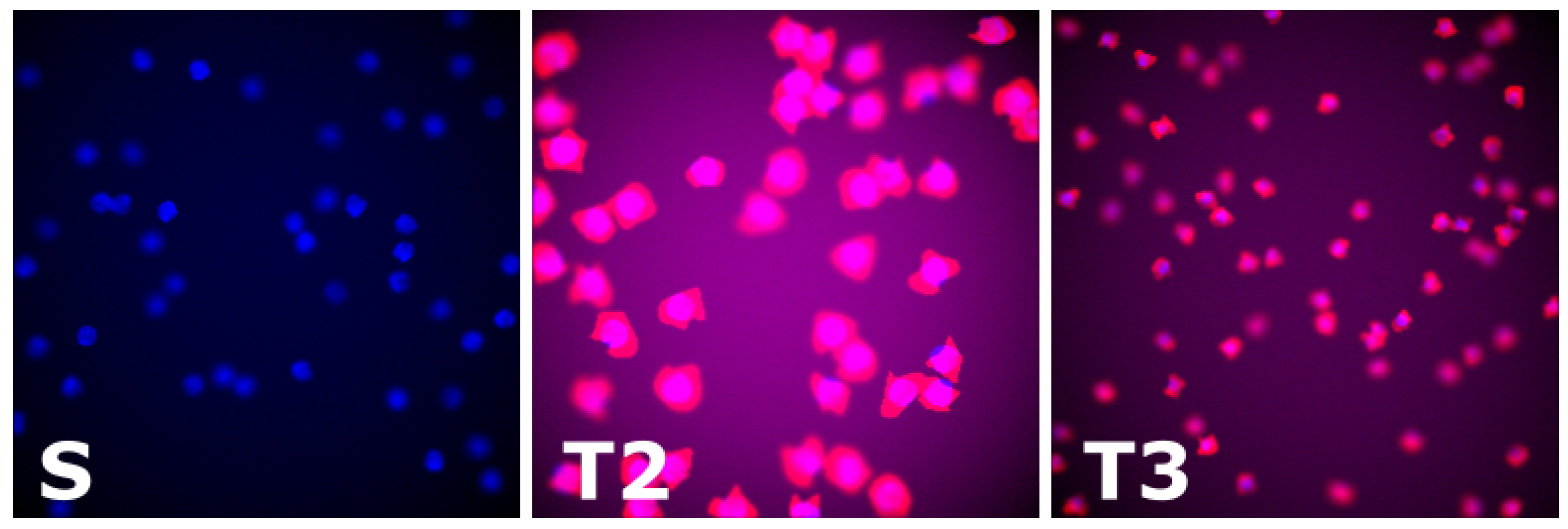 Jimaging 07 00198 g003 Jimaging 07 00198 g003