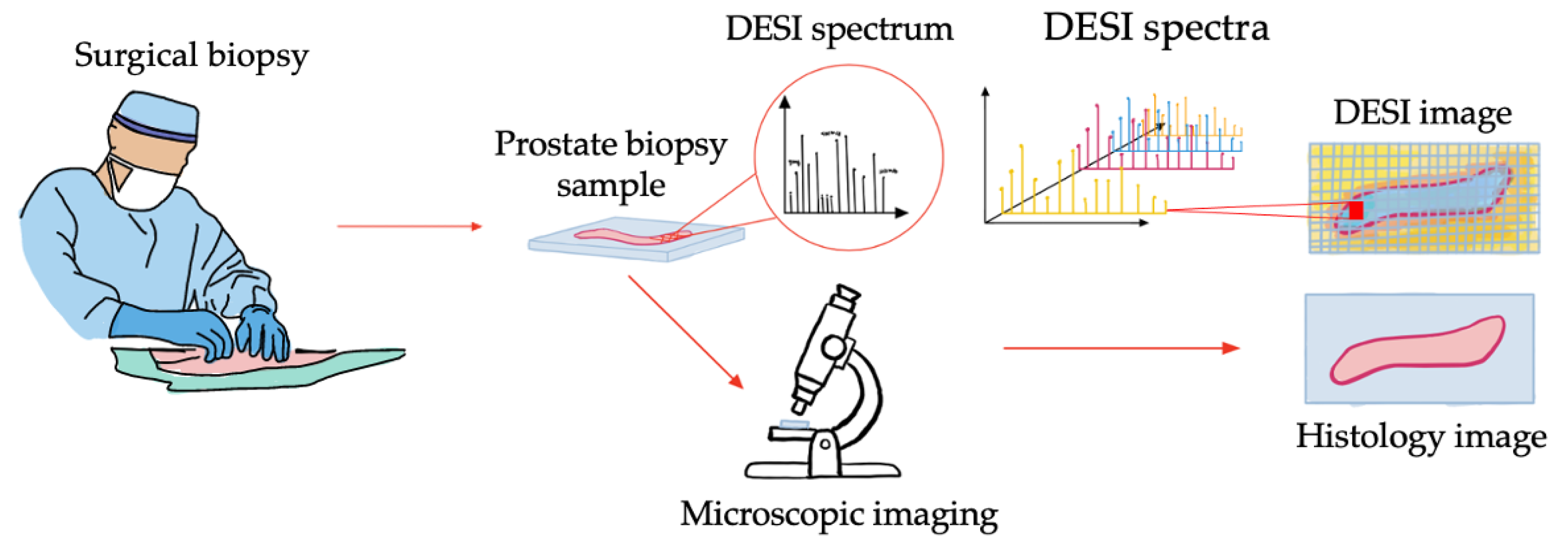 Jimaging 07 00203 g001 550