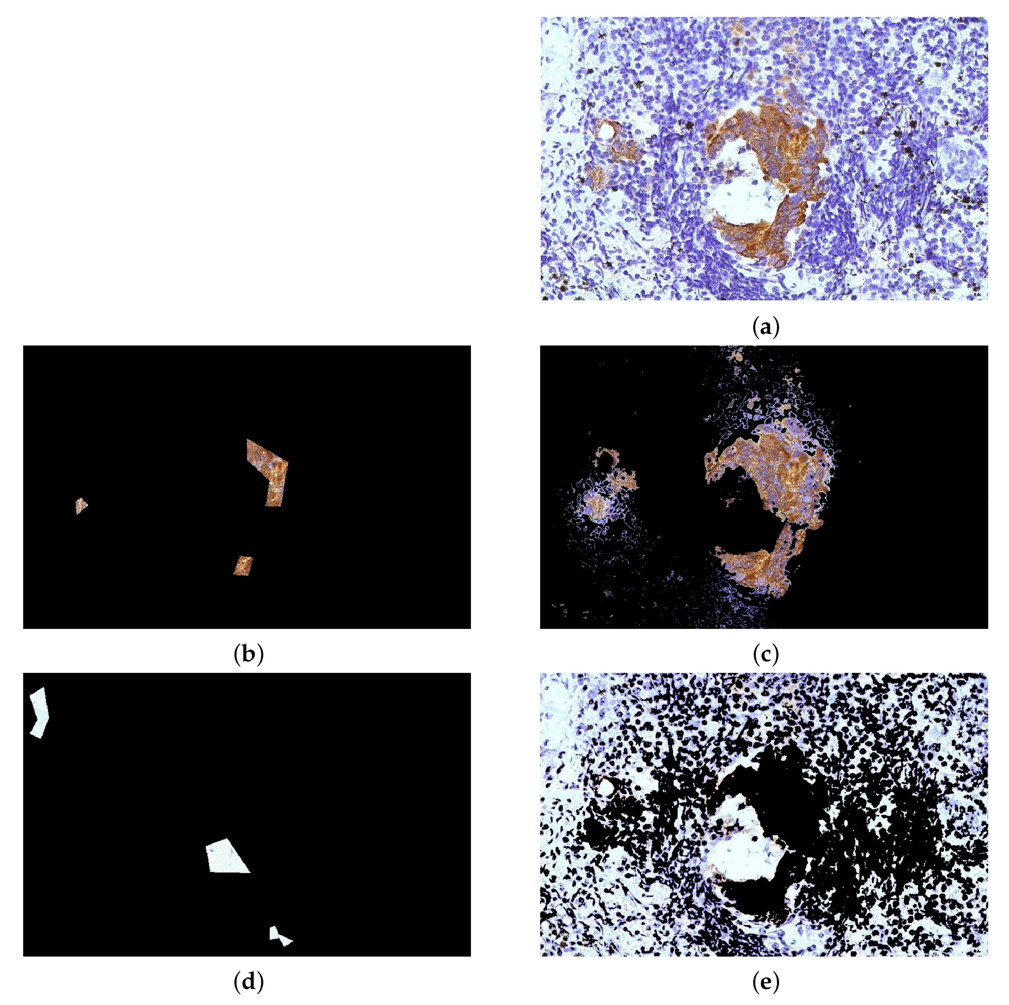 Jimaging 07 00208 g013