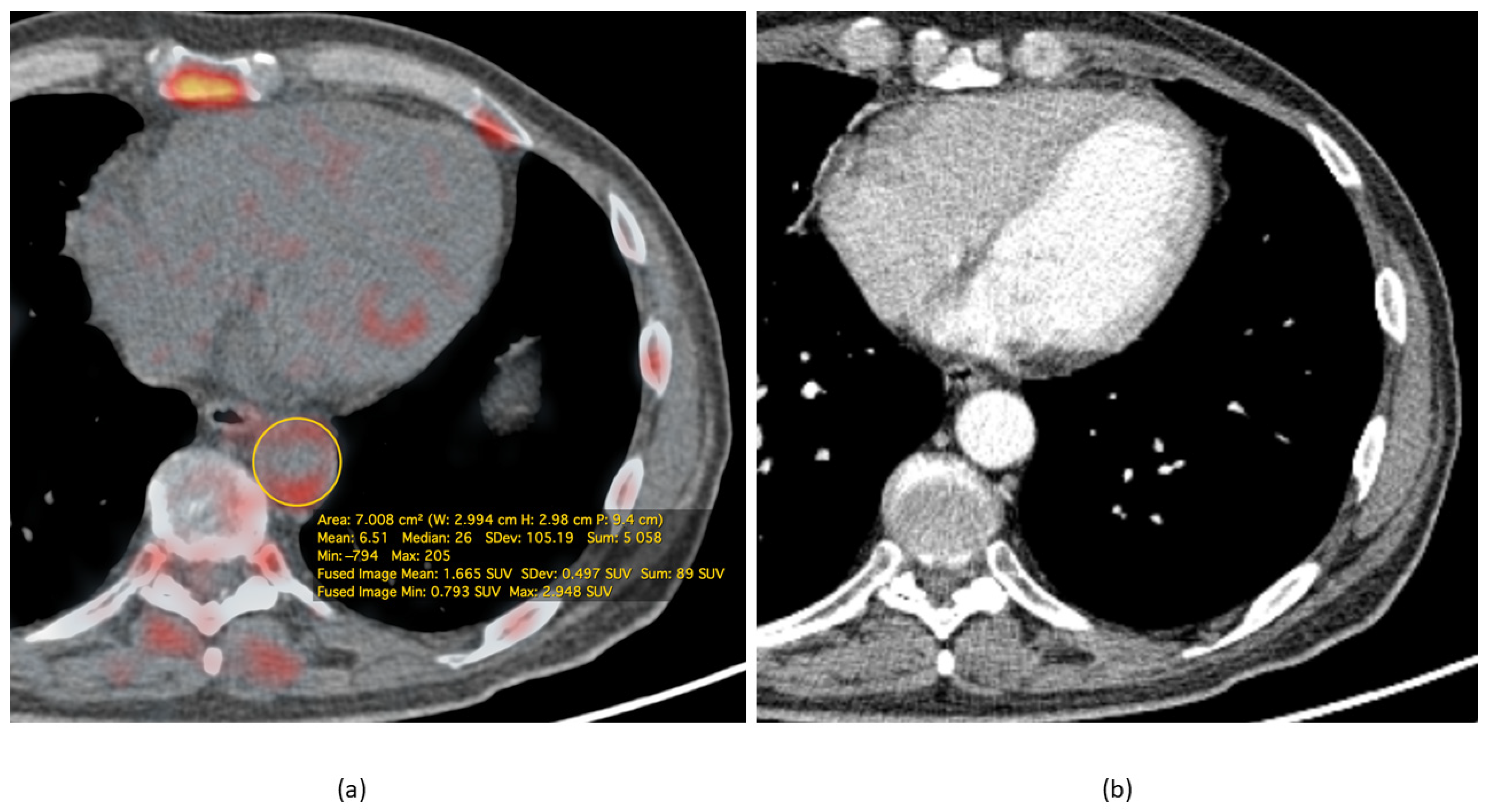 Jimaging 07 00211 g001 Jimaging 07 00211 g001