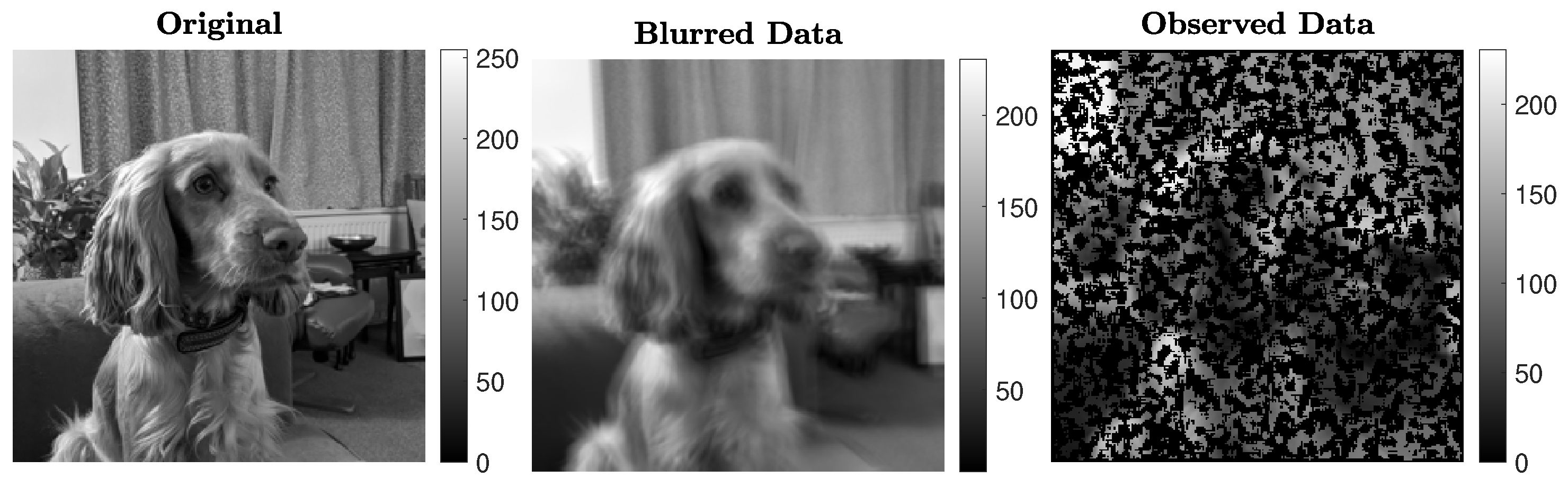 Jimaging 07 00216 g006