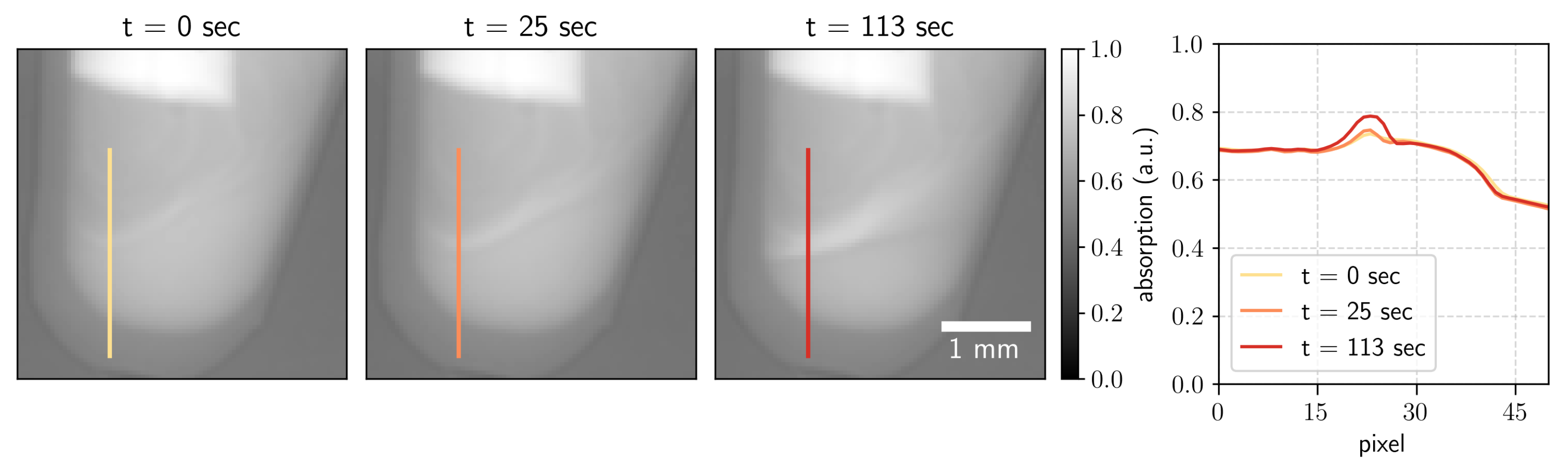 Jimaging 07 00221 g002 550