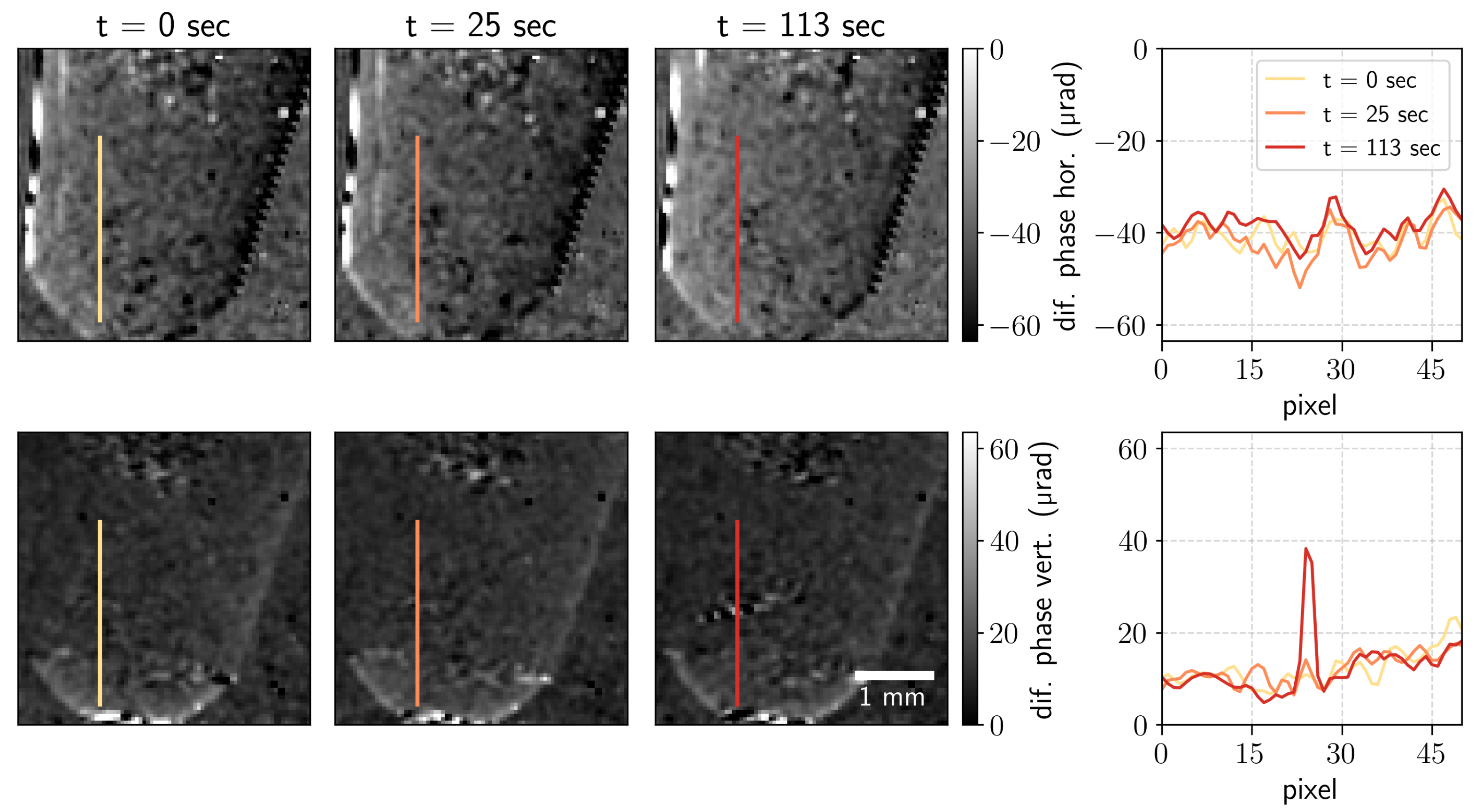 Jimaging 07 00221 g003 550