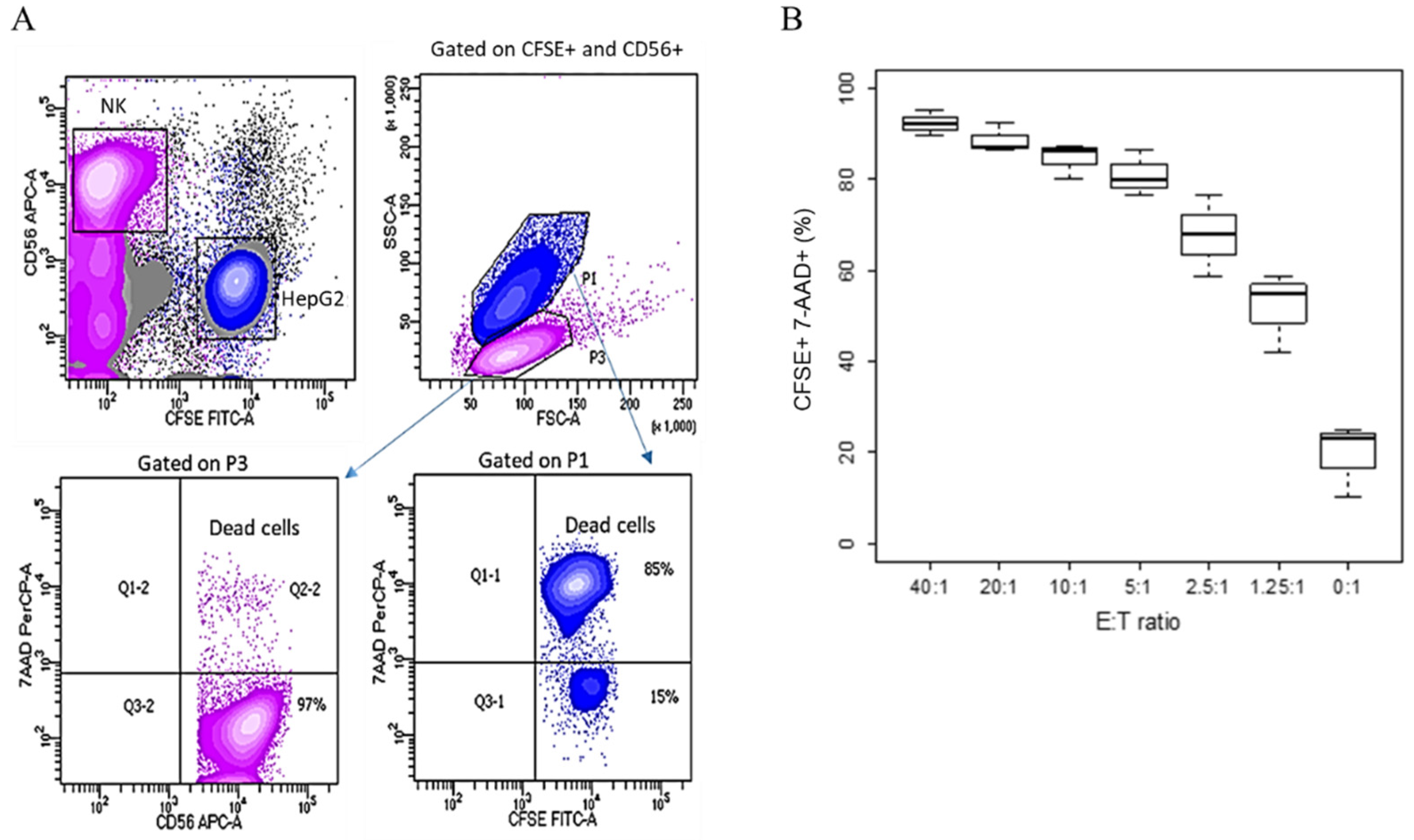 Jimaging 07 00222 g002 550