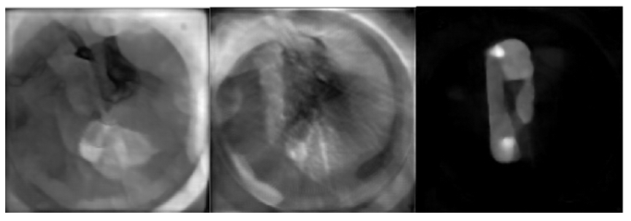 Jimaging 07 00248 g014