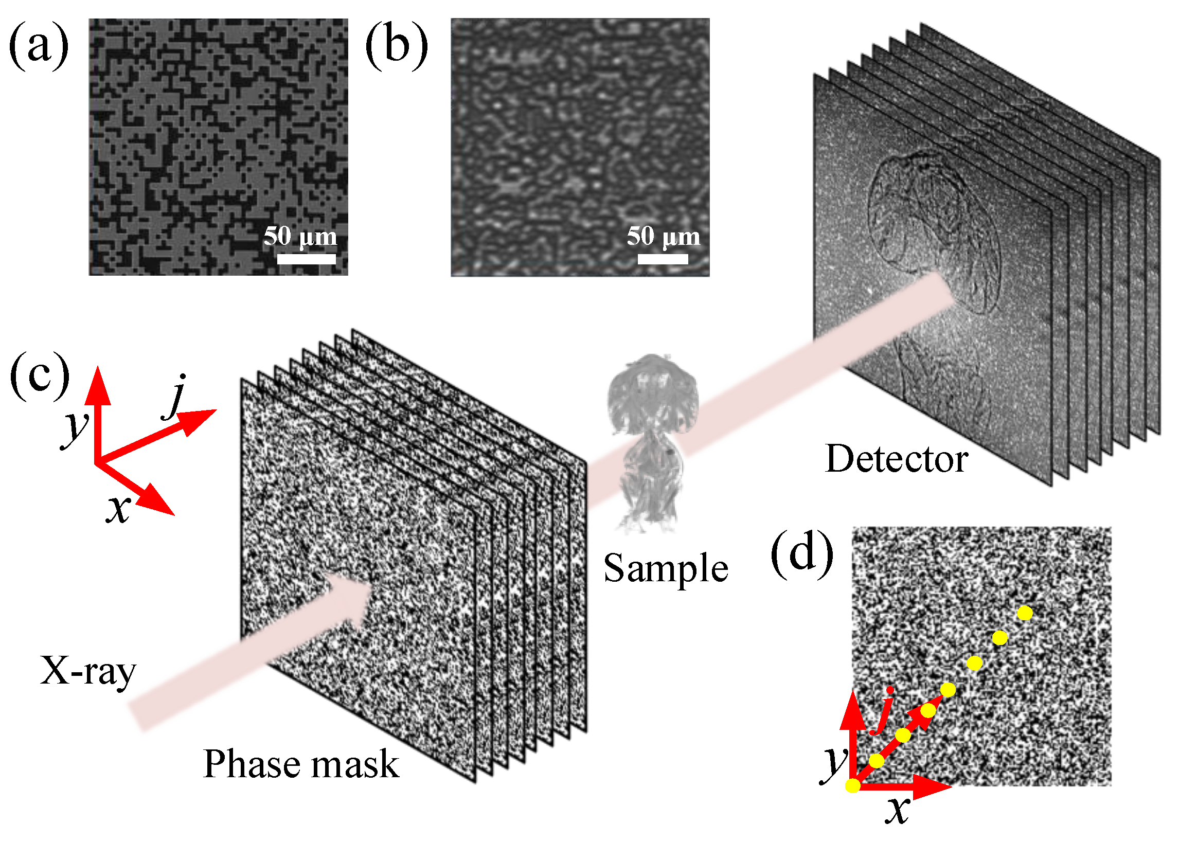 Jimaging 07 00249 g001