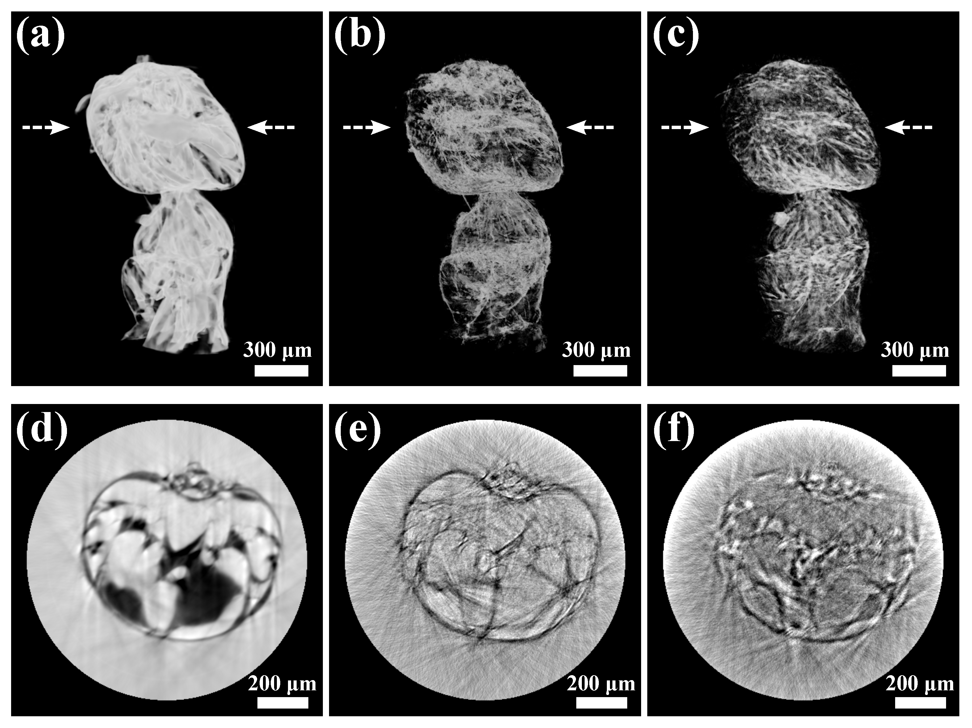 Jimaging 07 00249 g004