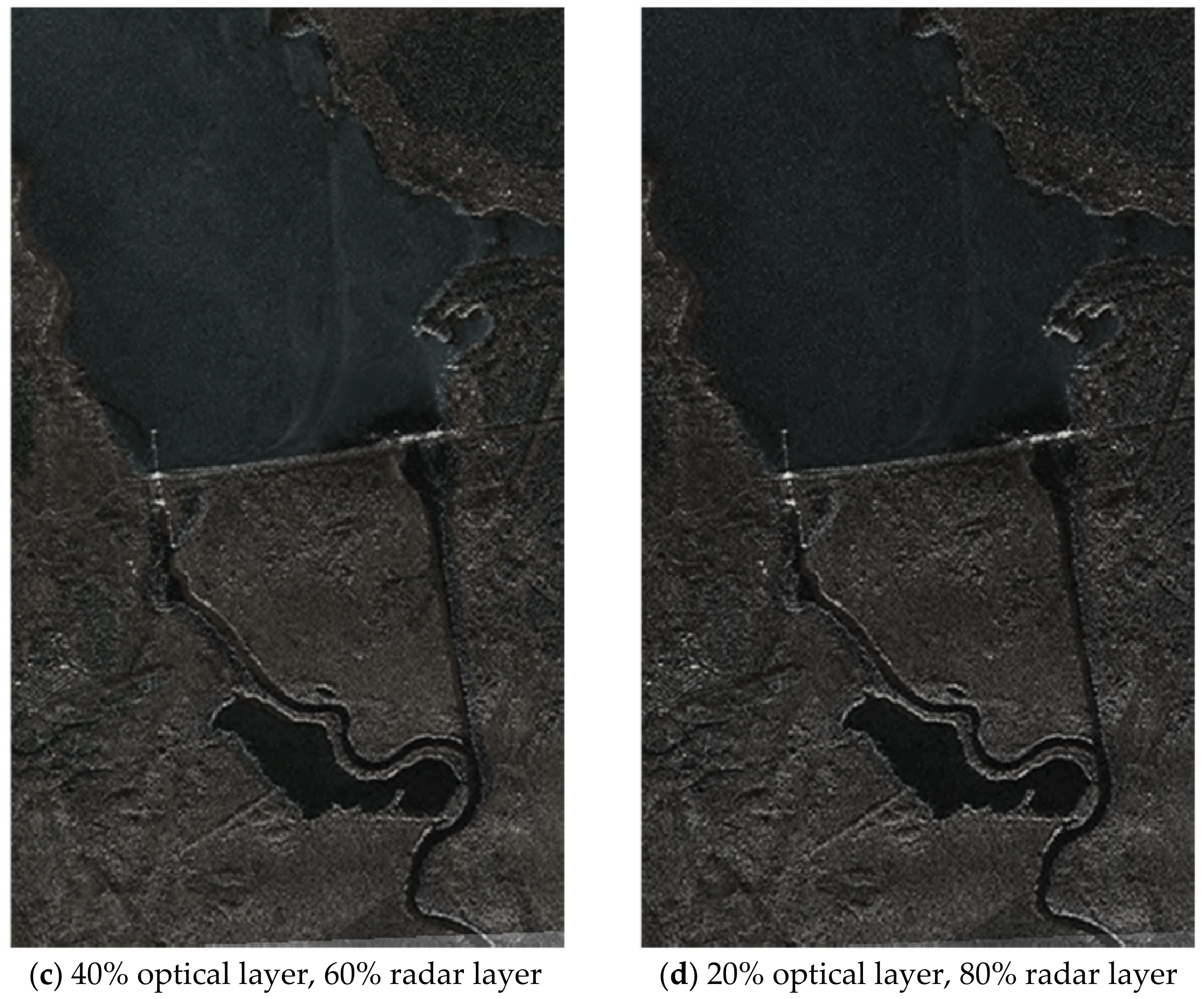 Jimaging 07 00251 g013b 550