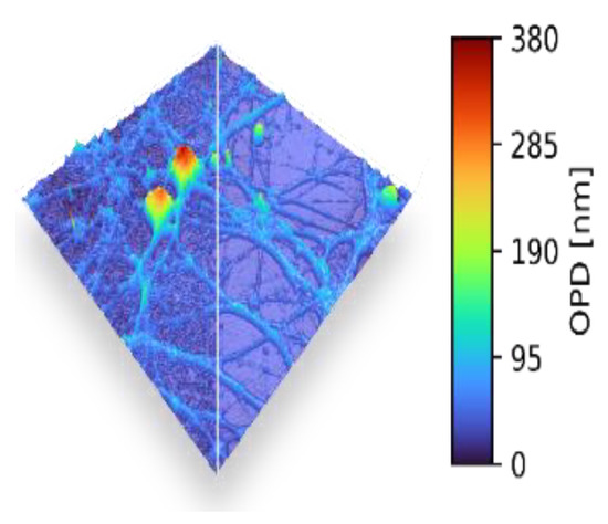 Roadmap on Digital Holography-Based Quantitative Phase Imaging