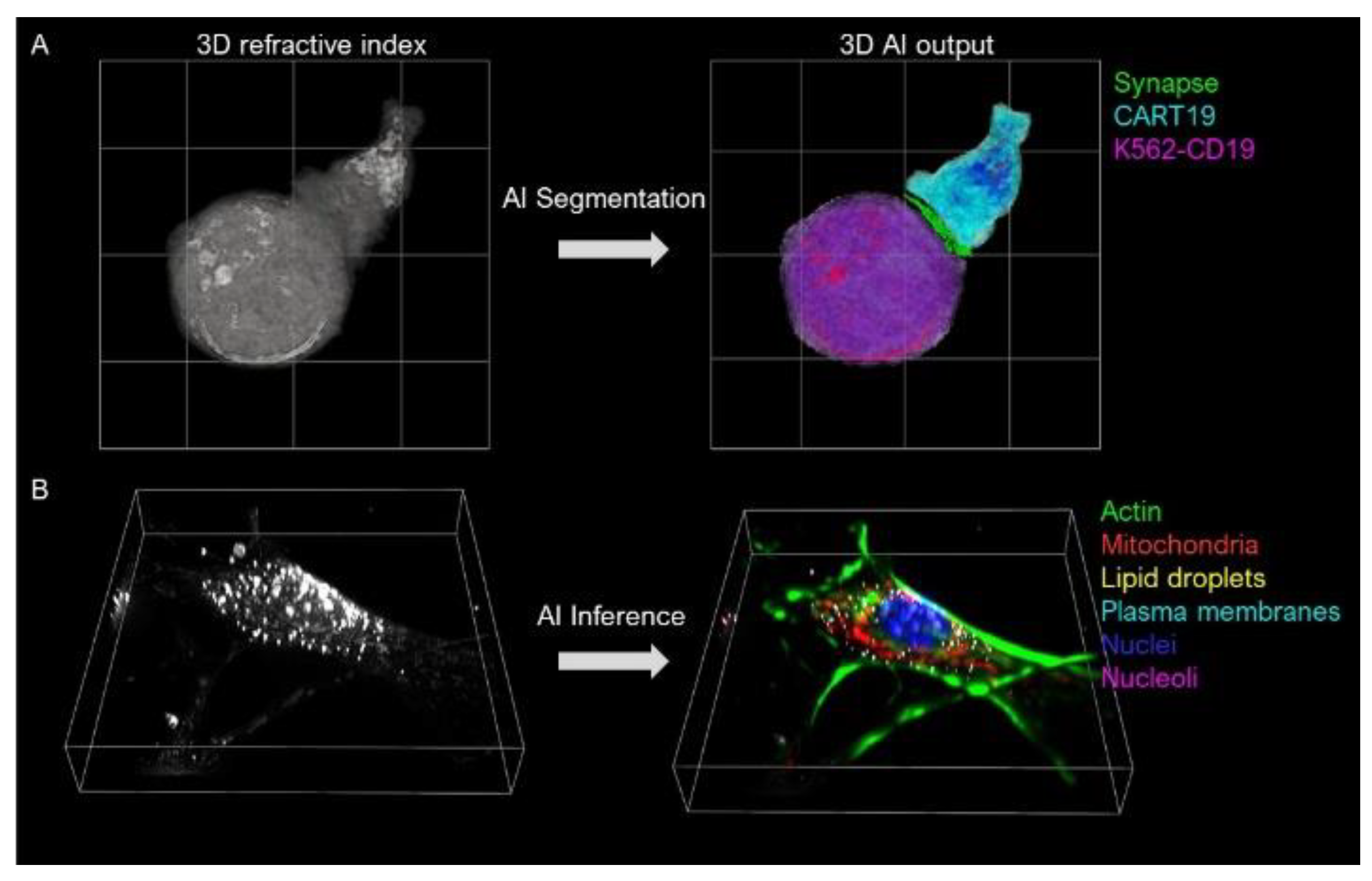 Jimaging 07 00252 g008